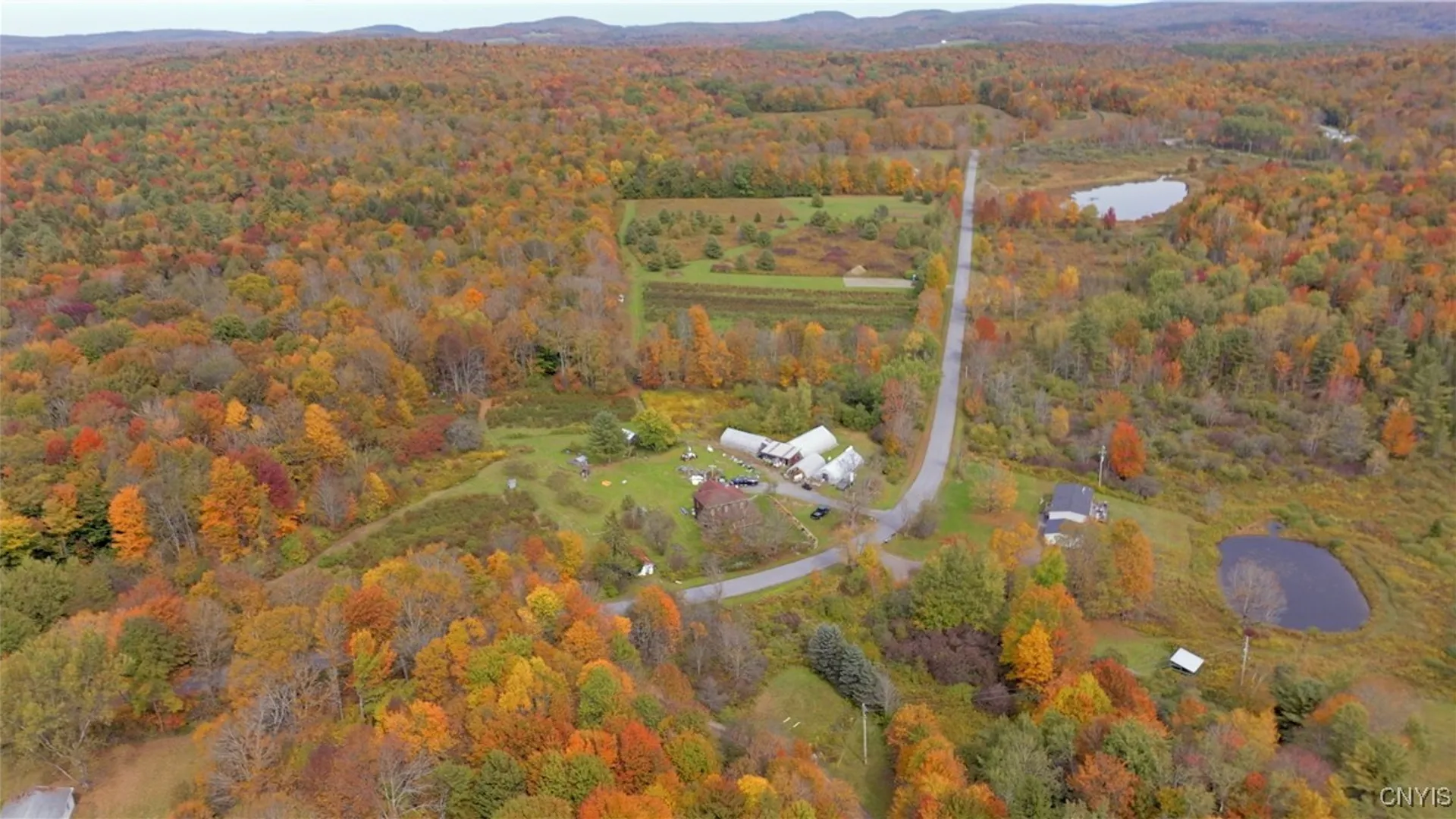 Property at 181 Peraglie Road, Jefferson, NY 12093 36