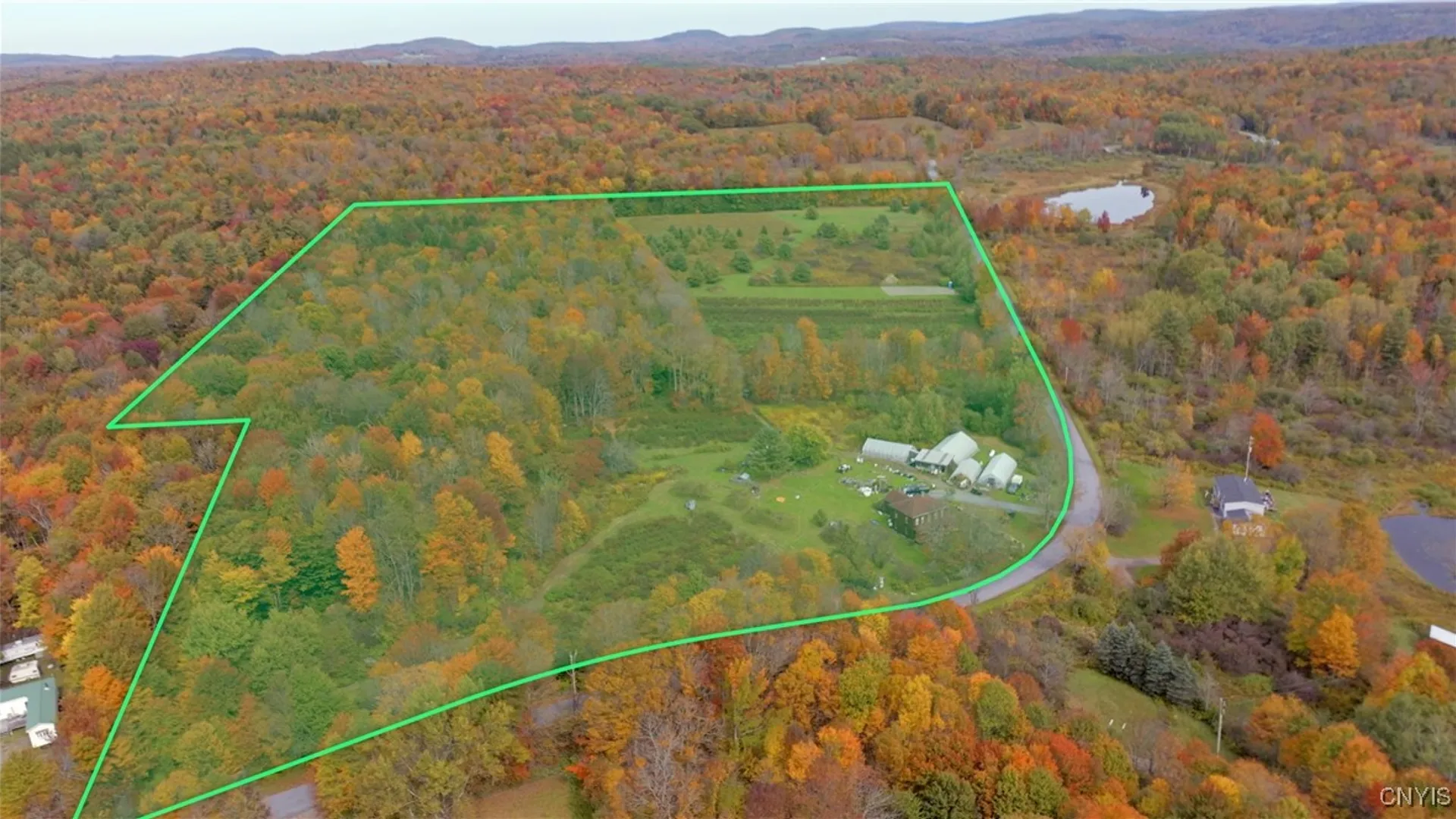 Property at 181 Peraglie Road, Jefferson, NY 12093 5