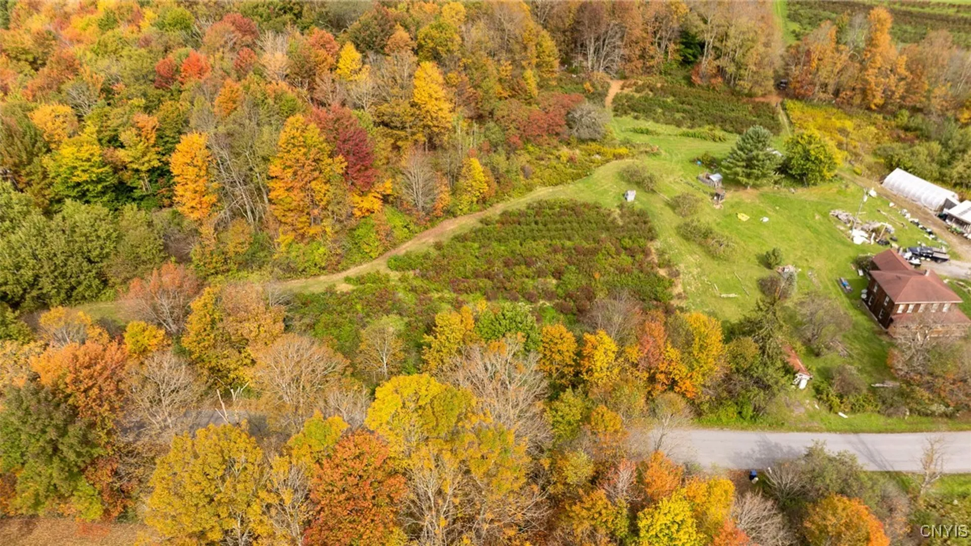 Property at 181 Peraglie Road, Jefferson, NY 12093 9