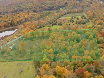 Property at 249 Peraglie Road, Jefferson, NY 12093