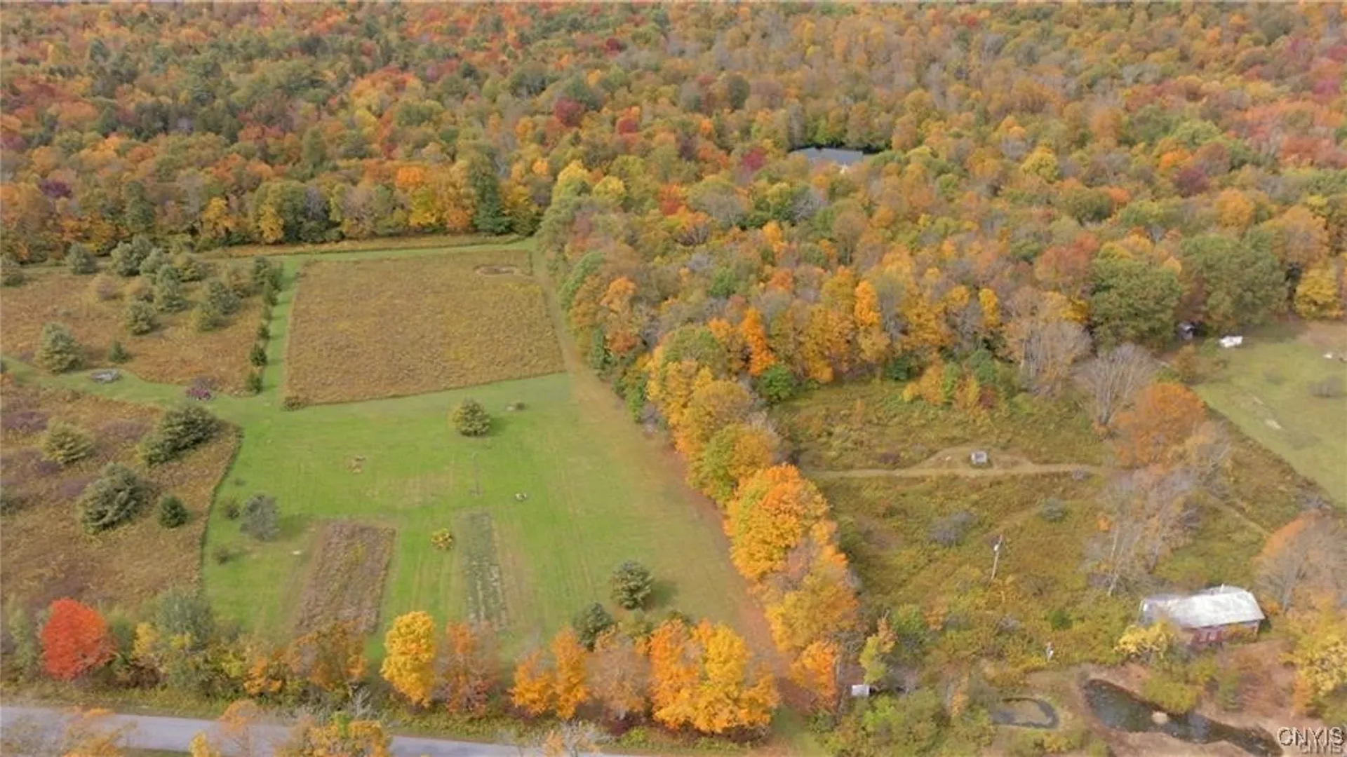 Property at 249 Peraglie Road, Jefferson, NY 12093 6