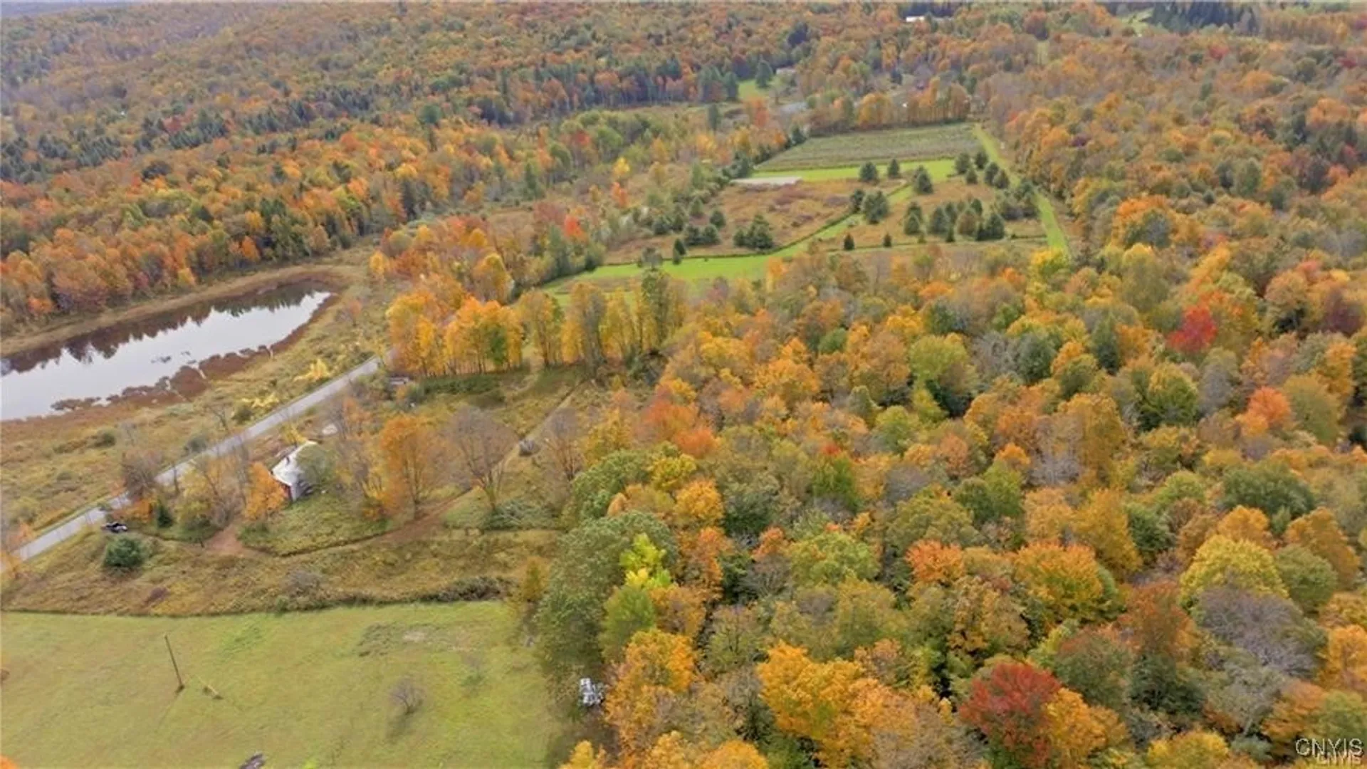 Property at 249 Peraglie Road, Jefferson, NY 12093 7