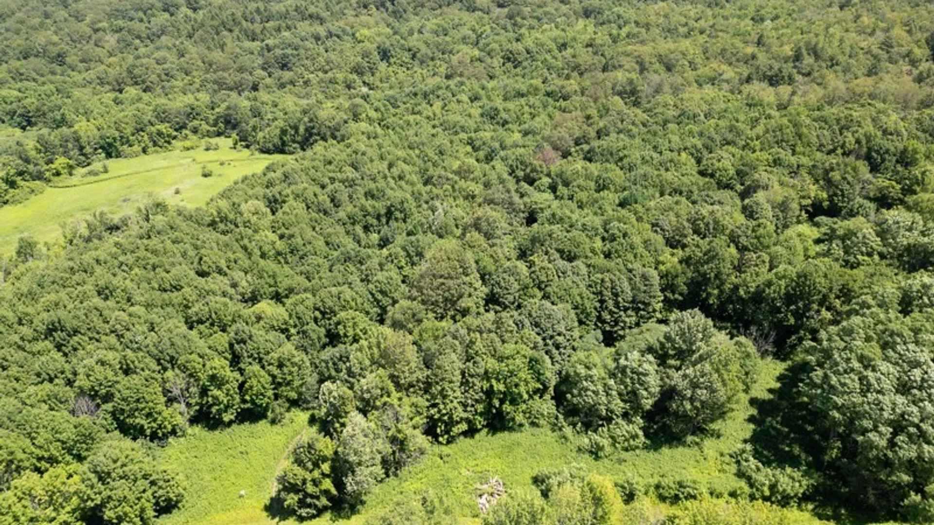 Property at 989 Robinson Rd, Warren, NY 13407 2