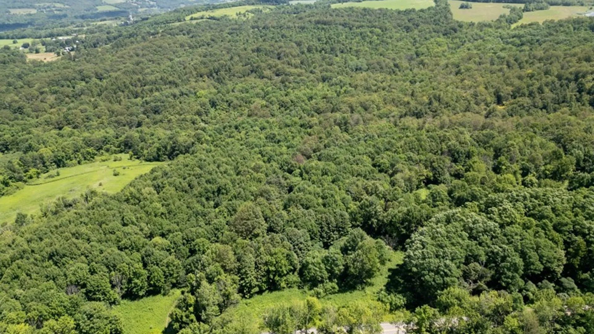 Property at 989 Robinson Rd, Warren, NY 13407 3