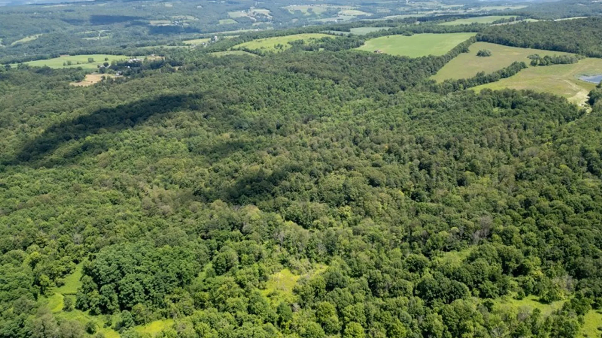 Property at 989 Robinson Rd, Warren, NY 13407 4