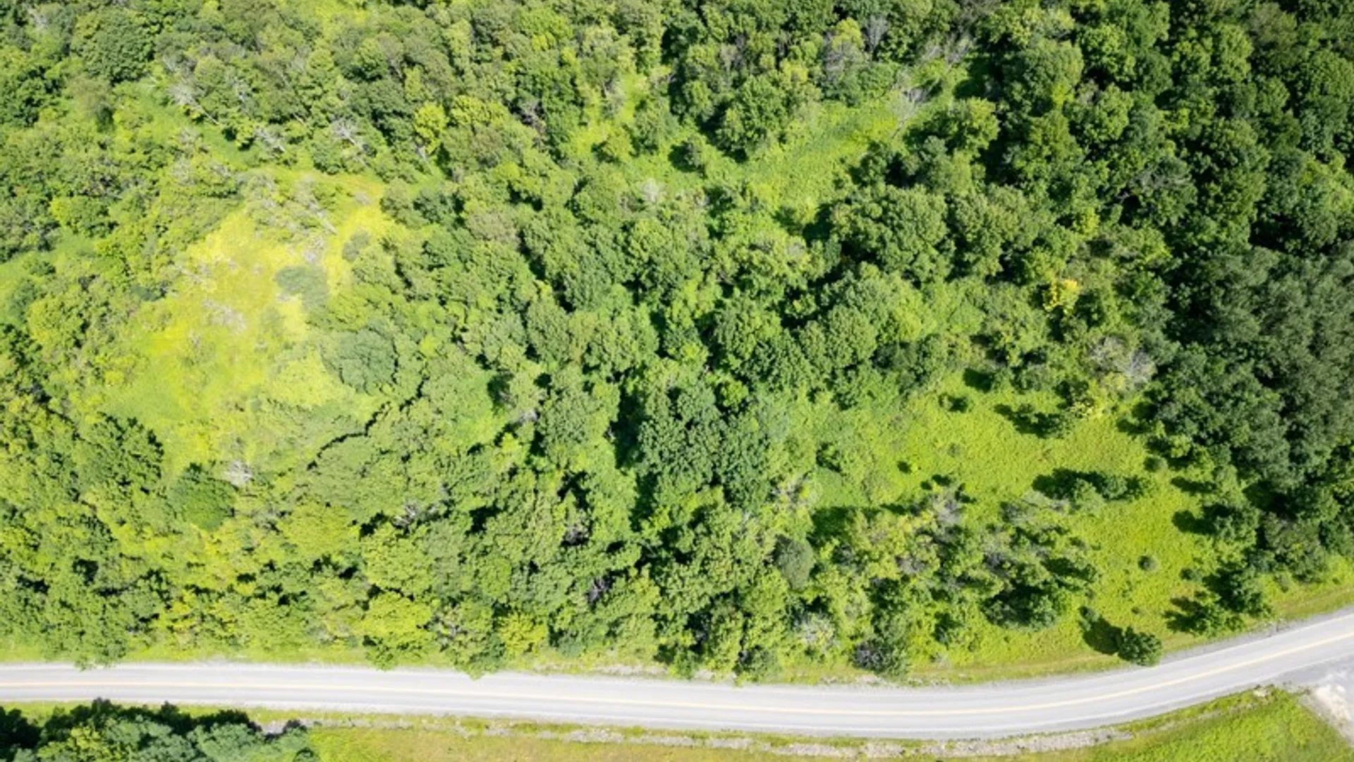 Property at 989 Robinson Rd, Warren, NY 13407 6