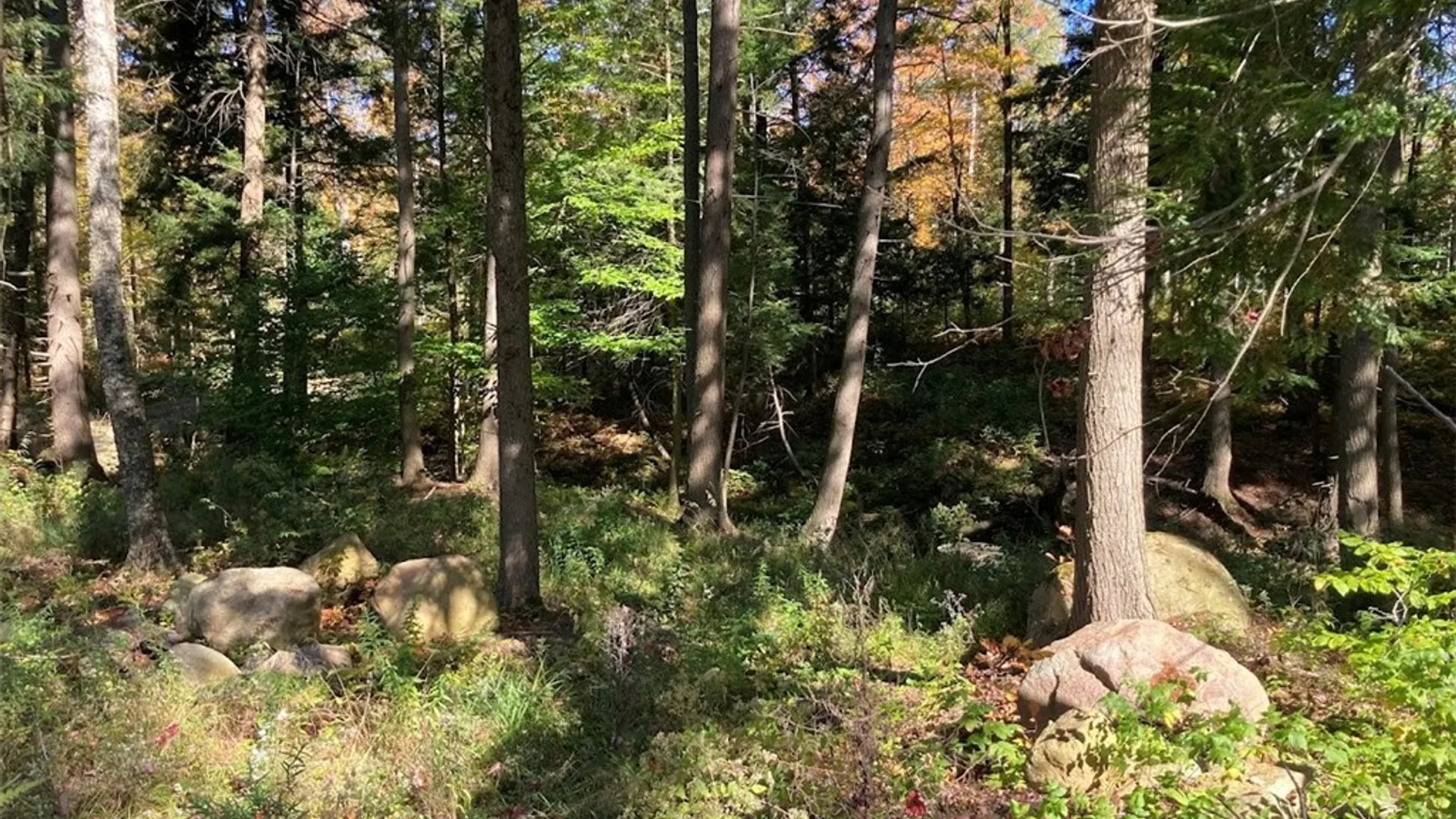 Property at 0 Joslyn Road, Remsen, NY 13438 19