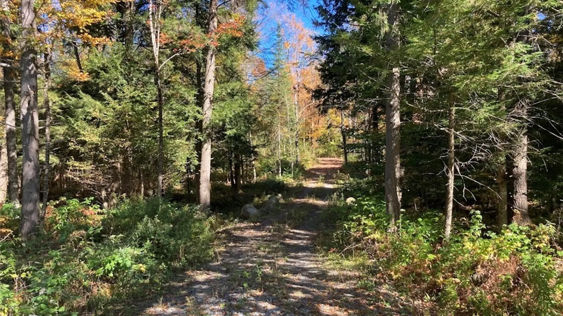 Property at 0 Joslyn Road, Remsen, NY 13438 22