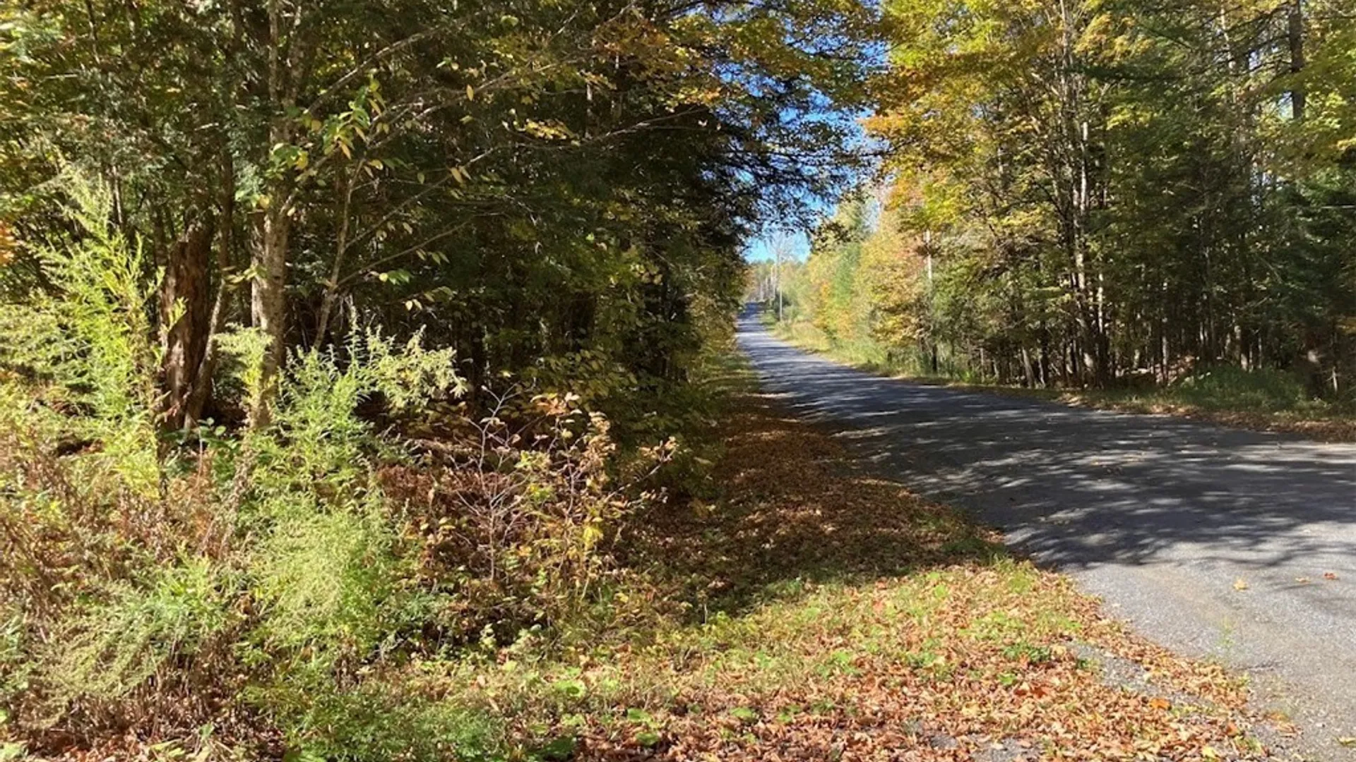 Property at 0 Joslyn Road, Remsen, NY 13438 24