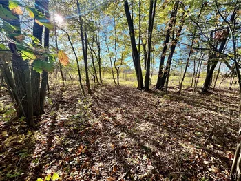 Property at Oak Point Road, Morristown, NY 13614