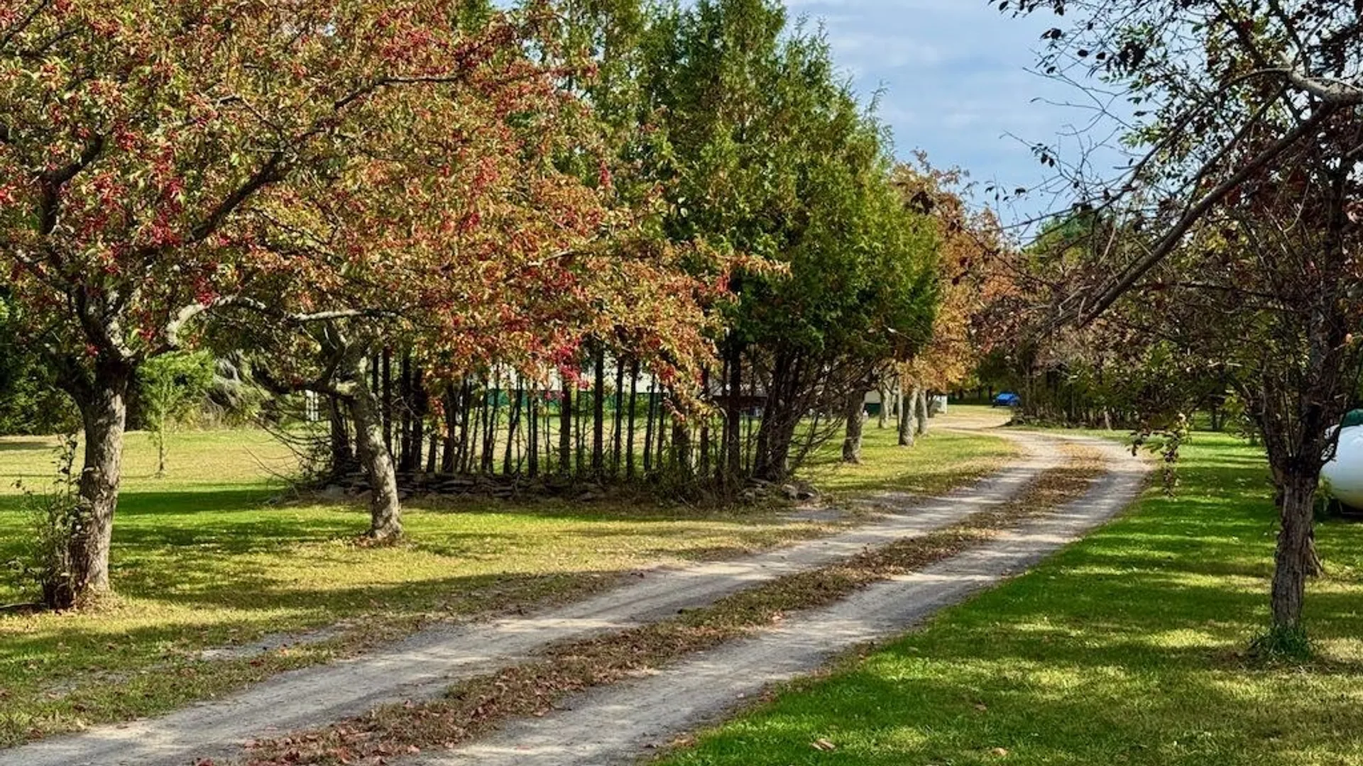 Property at 2645 County Route 15, Sandy Creek, NY 13145 11