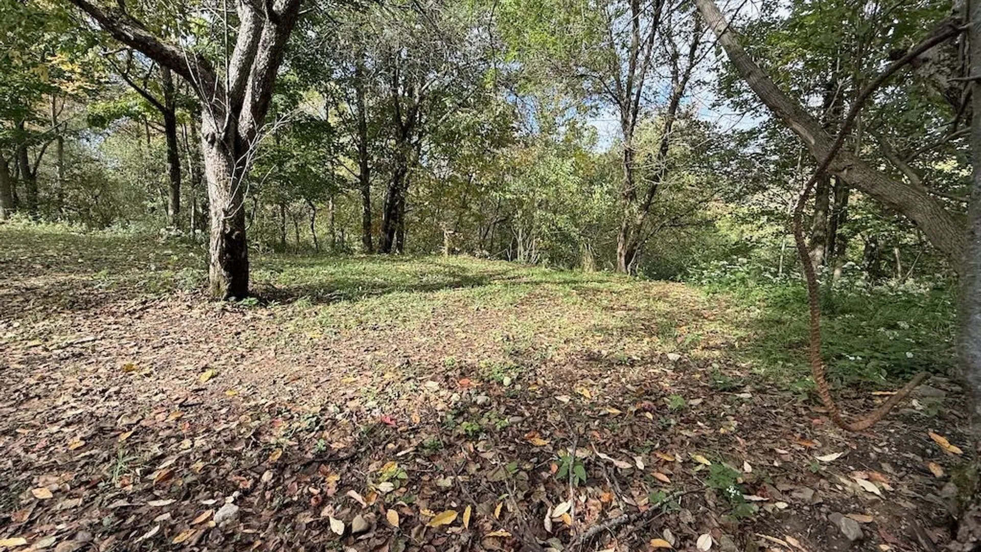 Property at 2645 County Route 15, Sandy Creek, NY 13145 40