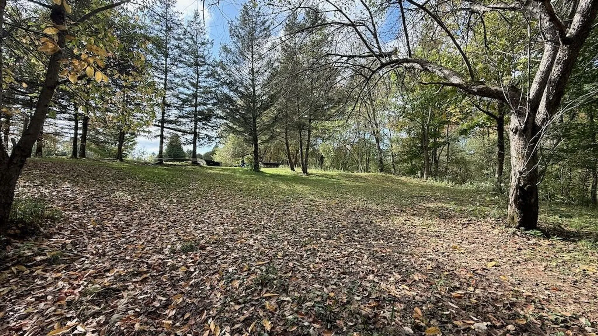 Property at 2645 County Route 15, Sandy Creek, NY 13145 41