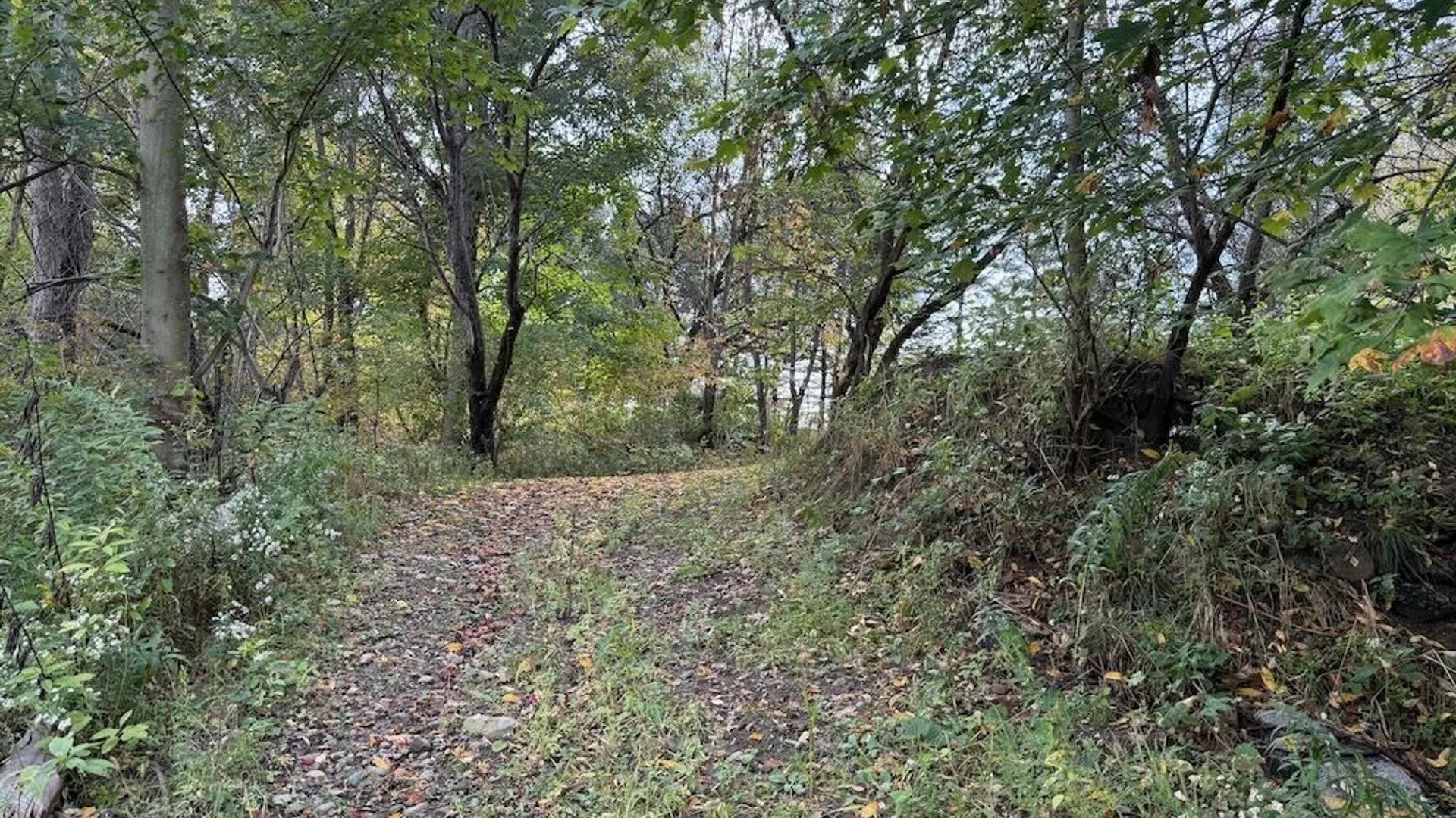 Property at 2645 County Route 15, Sandy Creek, NY 13145 44