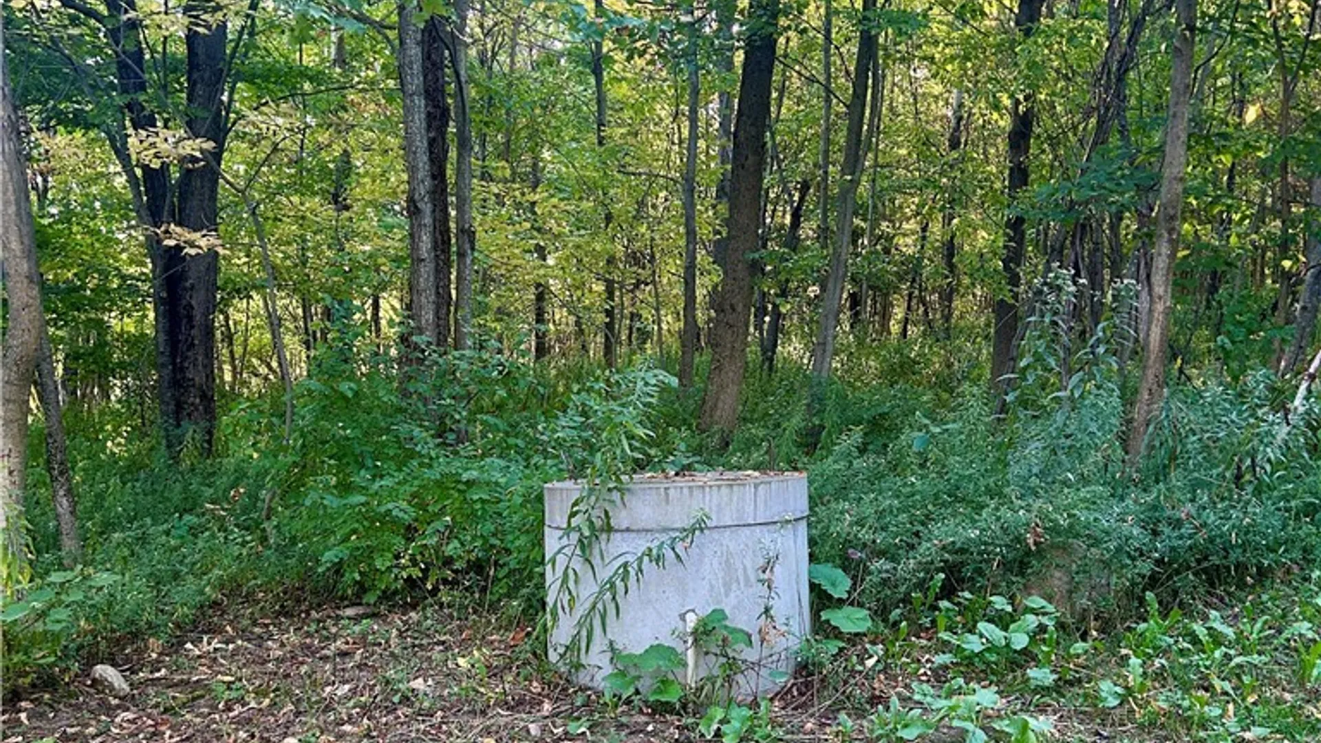 Property at 1803 County Route 194, Pinckney, NY 13626 12