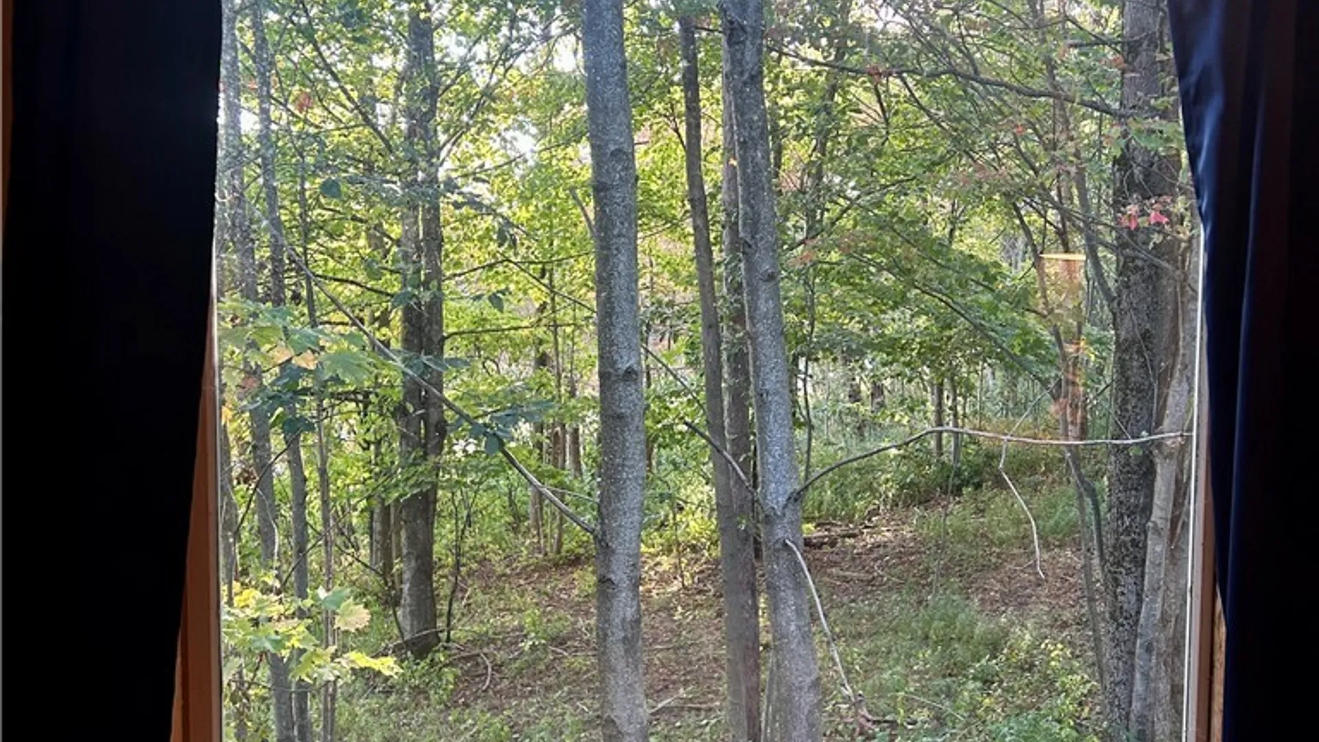 Property at 1803 County Route 194, Pinckney, NY 13626 38