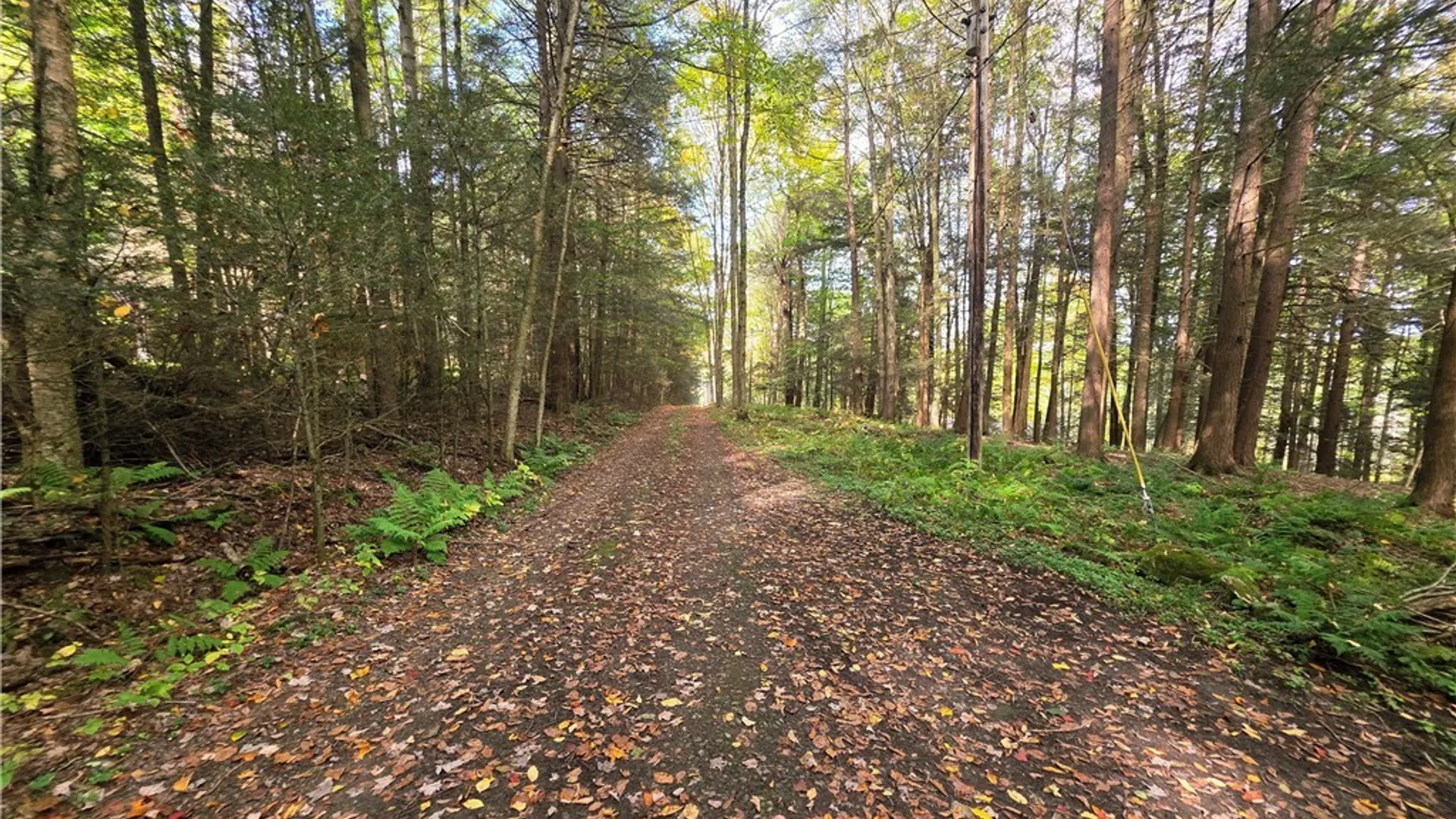 Property at 7629 Russell Hill Road, Caneadea, NY 14717 34