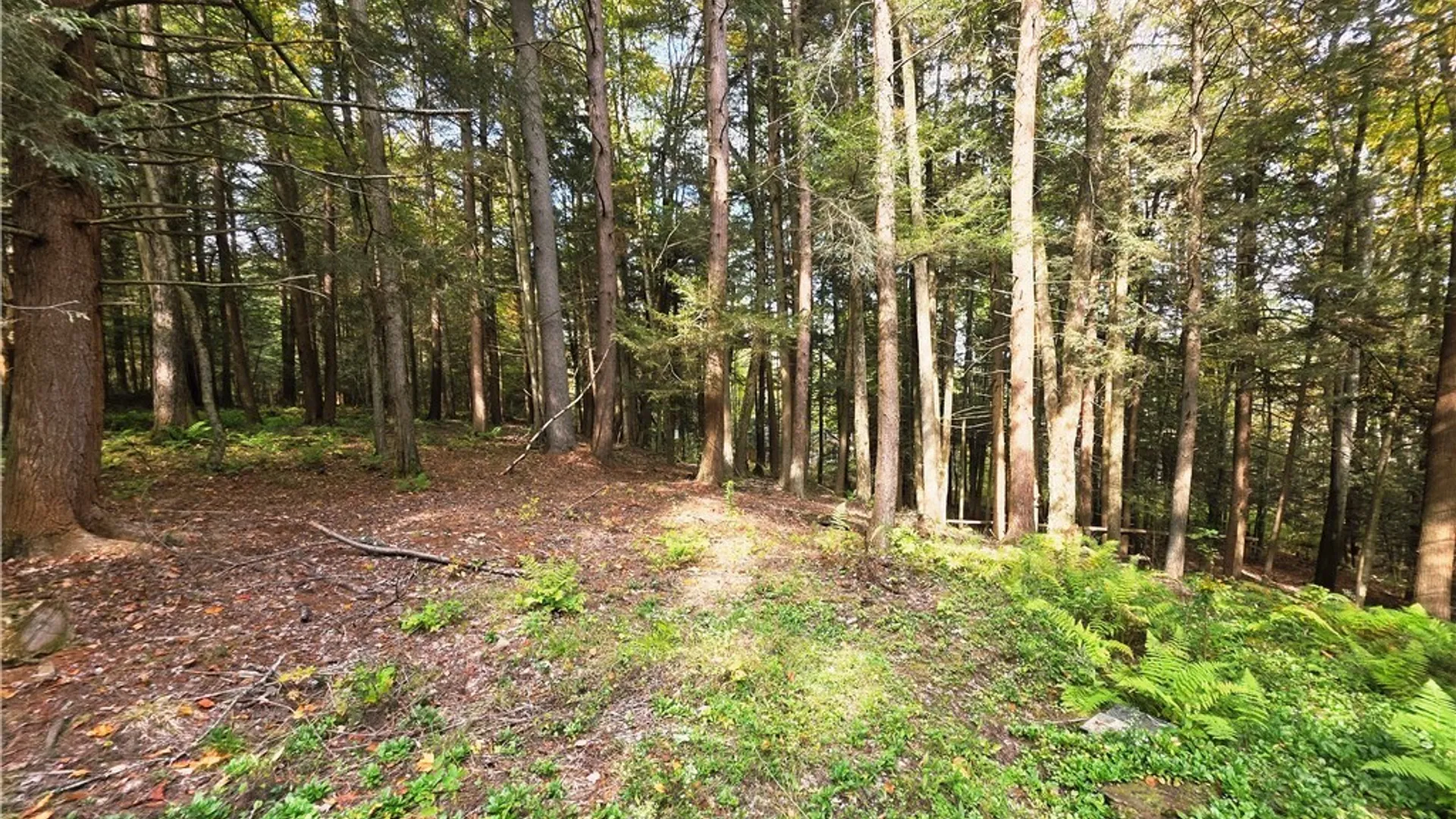 Property at 7629 Russell Hill Road, Caneadea, NY 14717 35