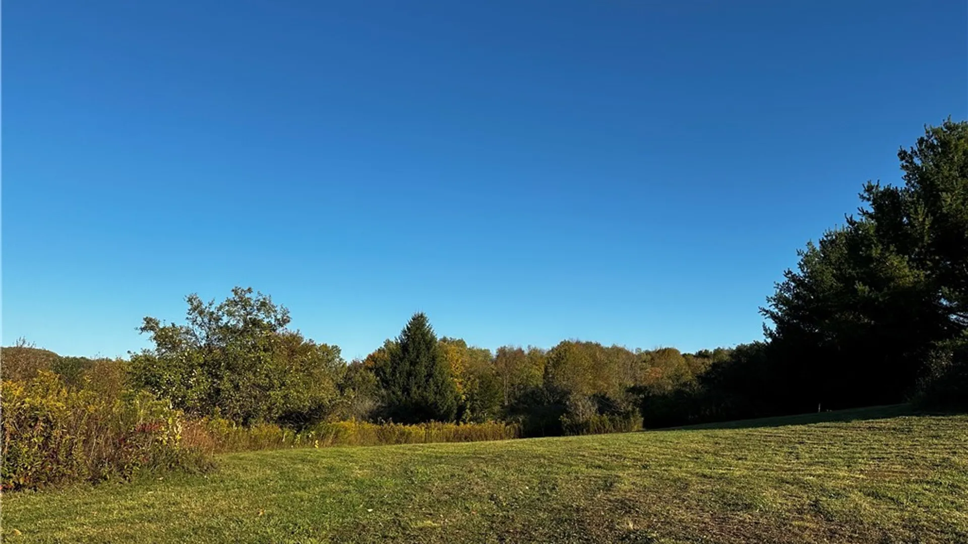 Property at 9096 Route 240, Ashford, NY 14171 10