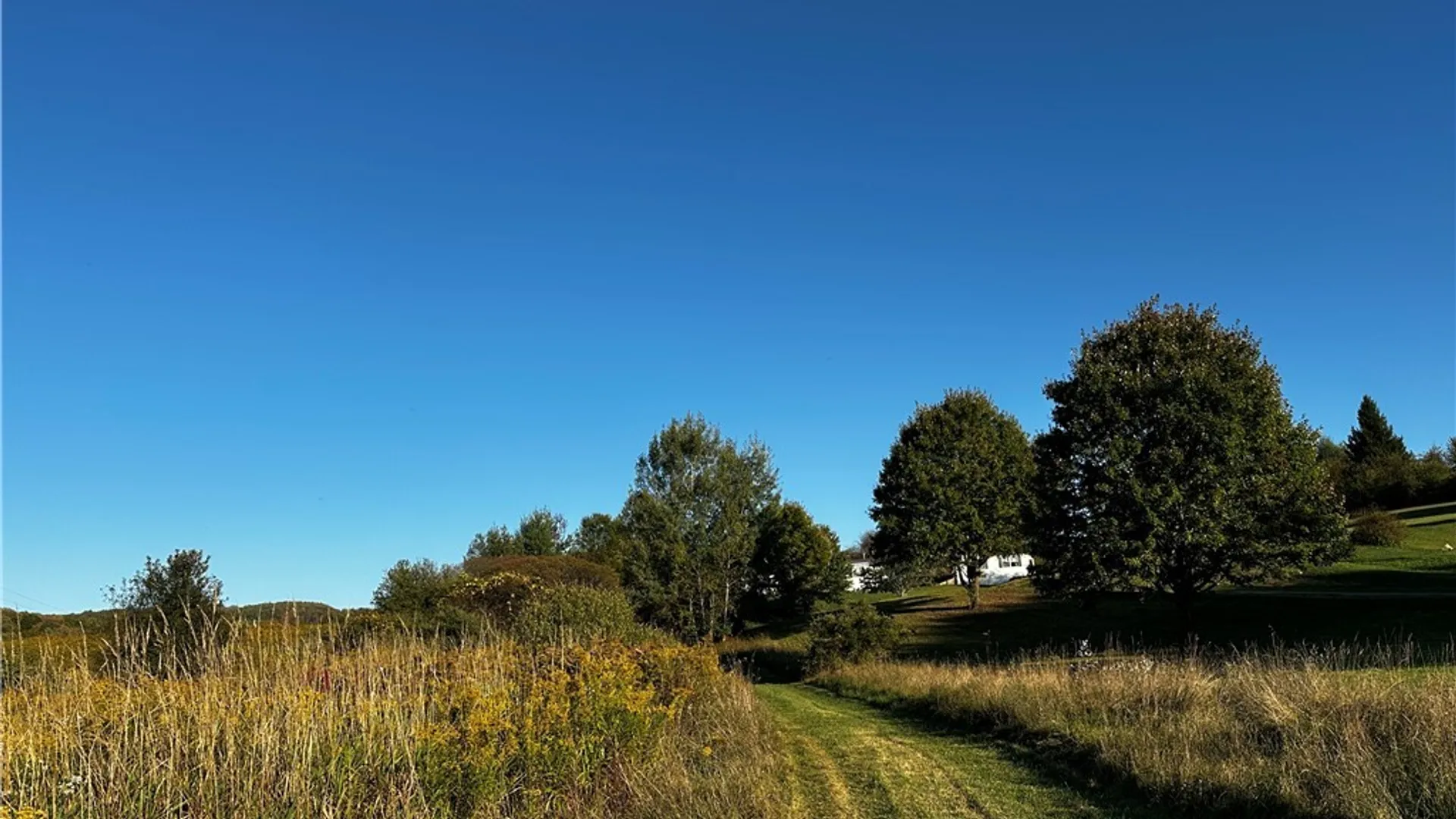 Property at 9096 Route 240, Ashford, NY 14171 11