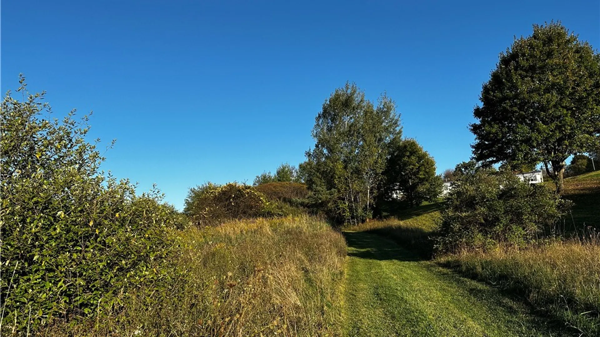 Property at 9096 Route 240, Ashford, NY 14171 12