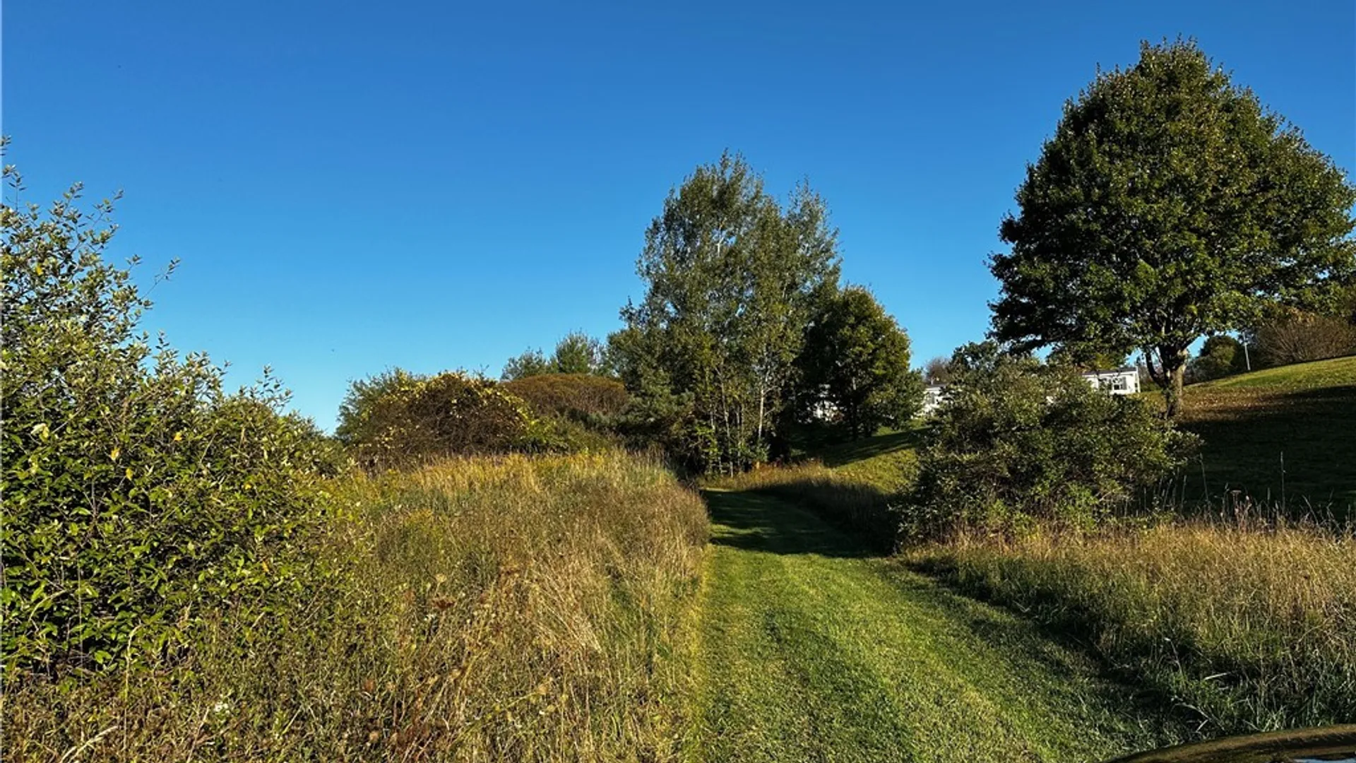 Property at 9096 Route 240, Ashford, NY 14171 13