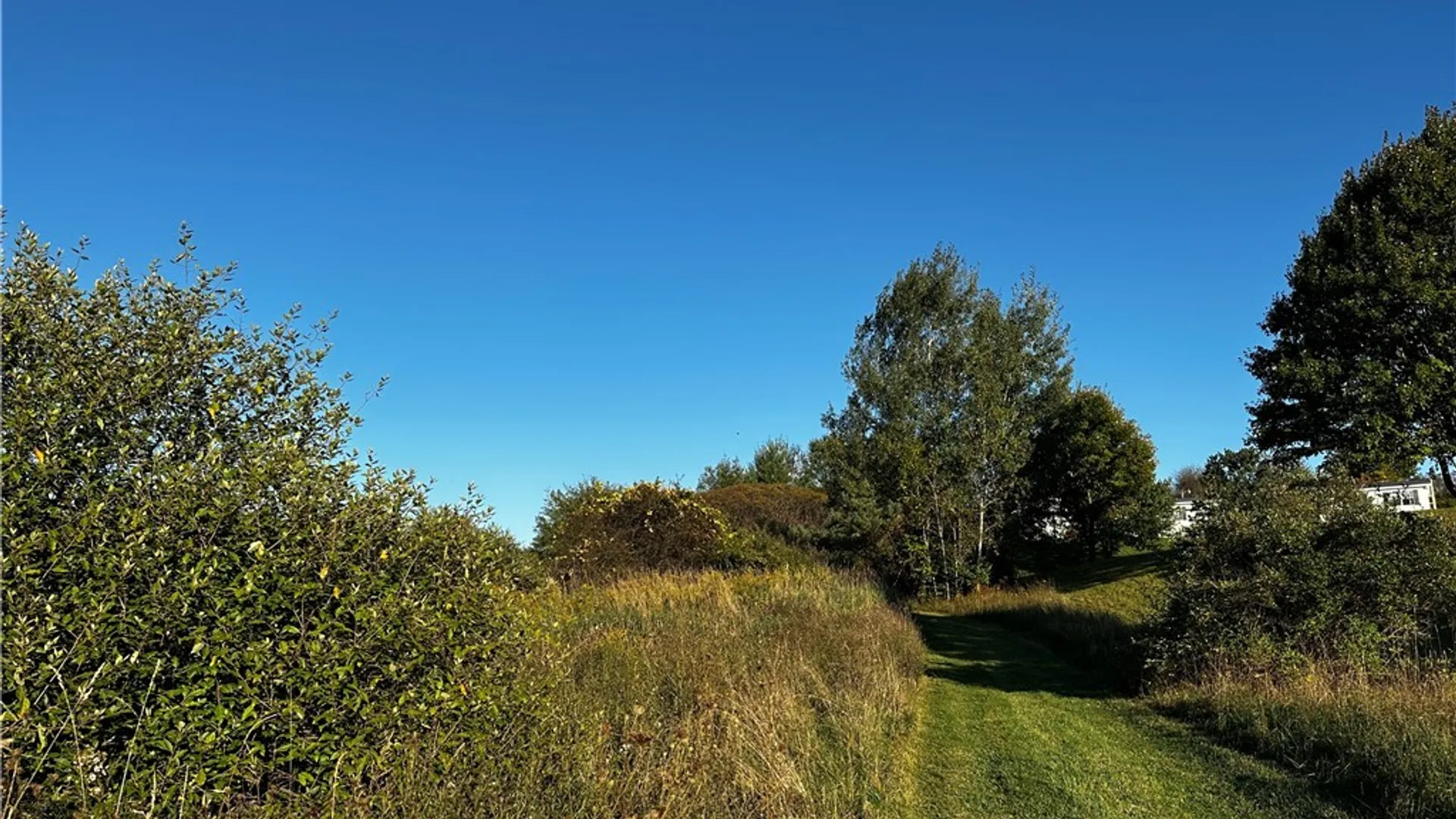 Property at 9096 Route 240, Ashford, NY 14171 14