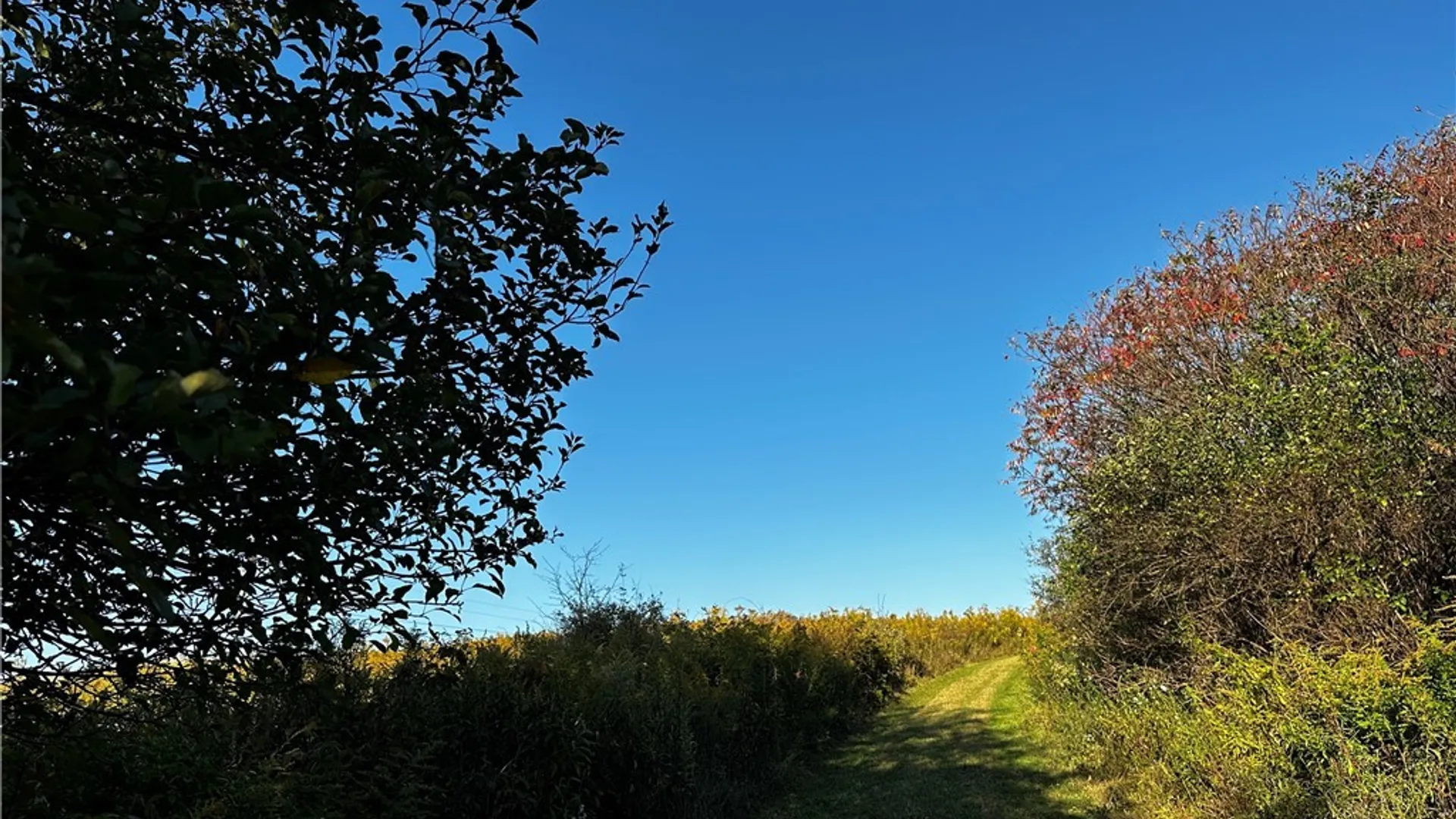 Property at 9096 Route 240, Ashford, NY 14171 15