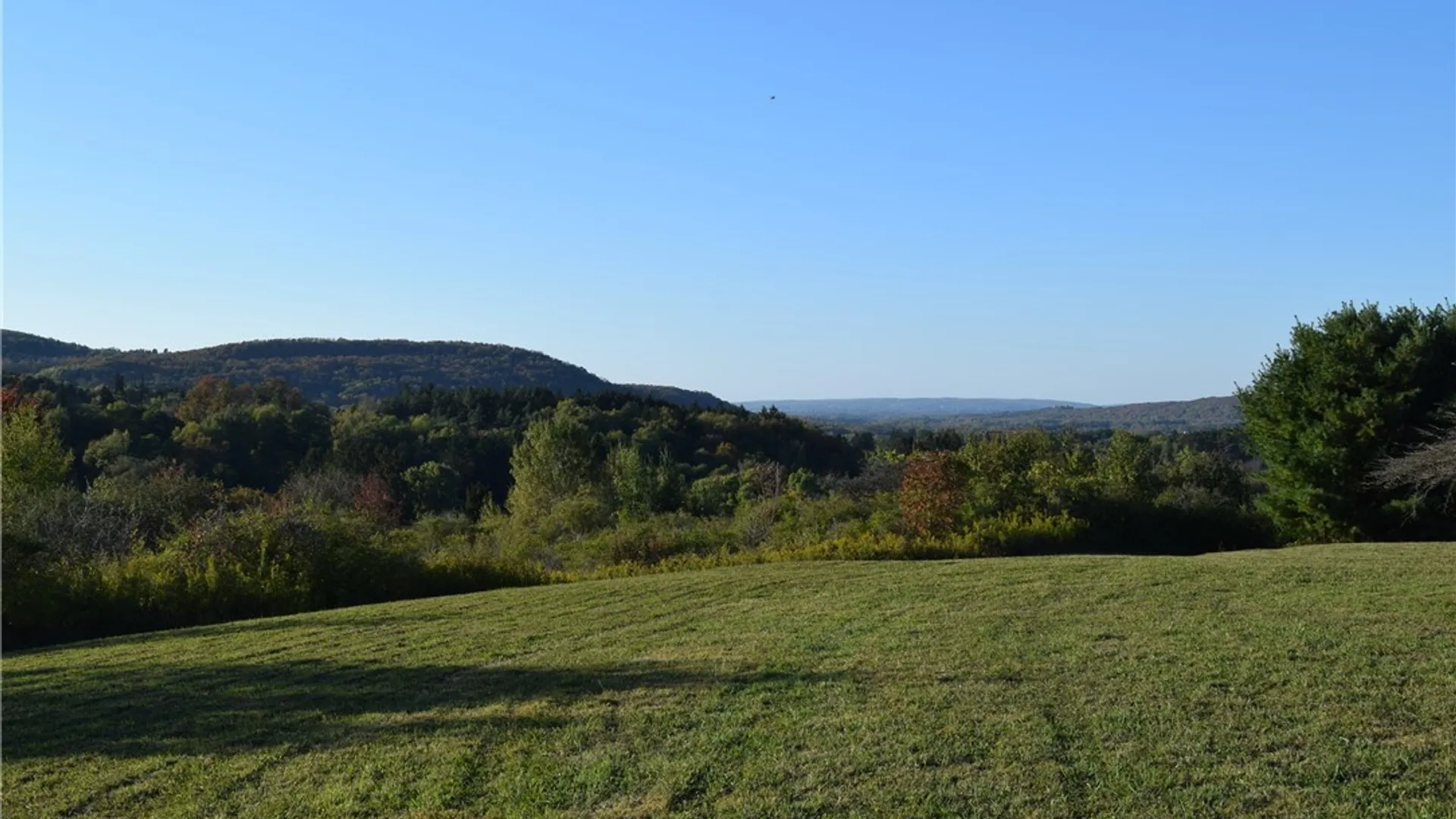 Property at 9096 Route 240, Ashford, NY 14171 21