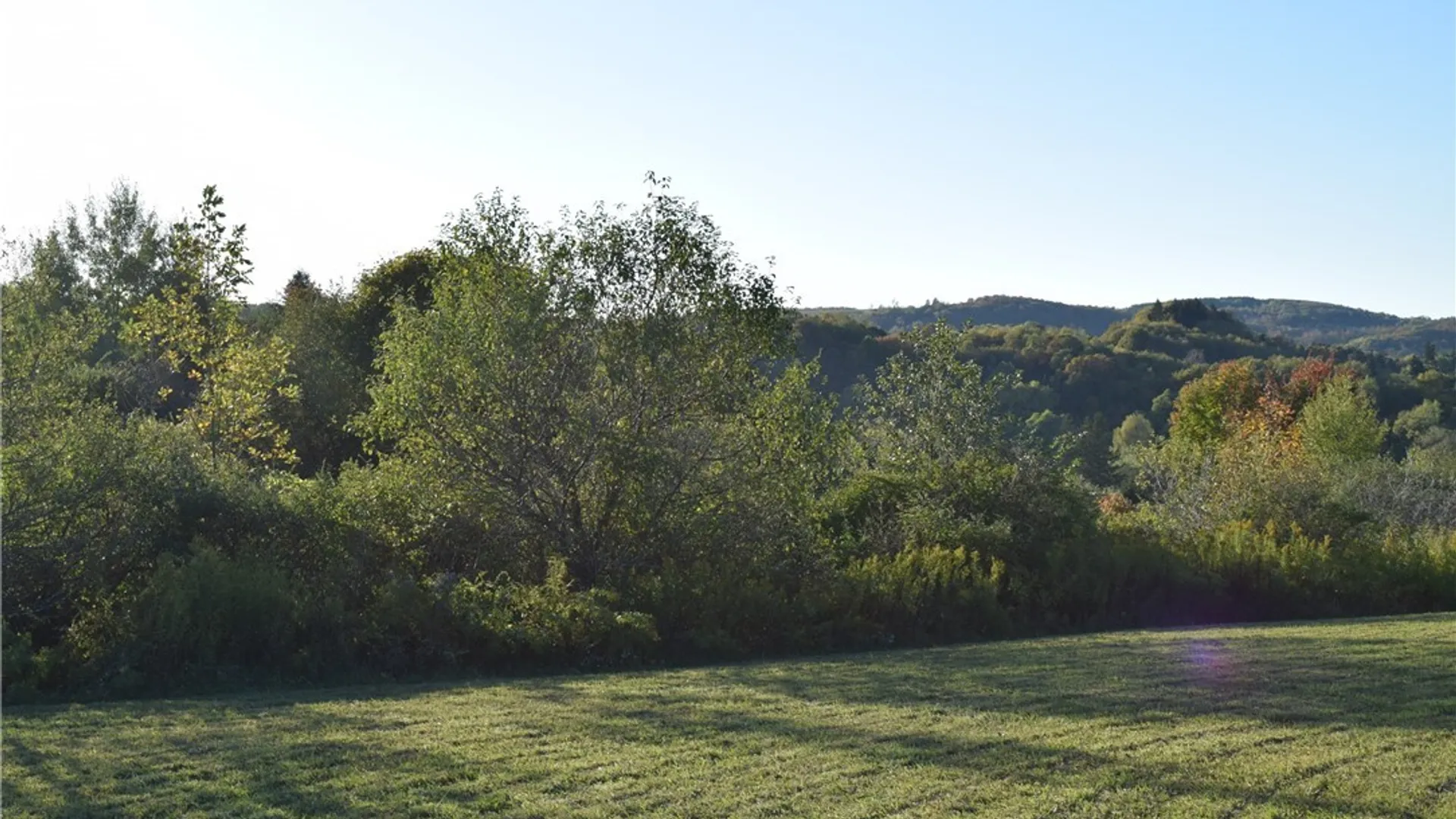 Property at 9096 Route 240, Ashford, NY 14171 22