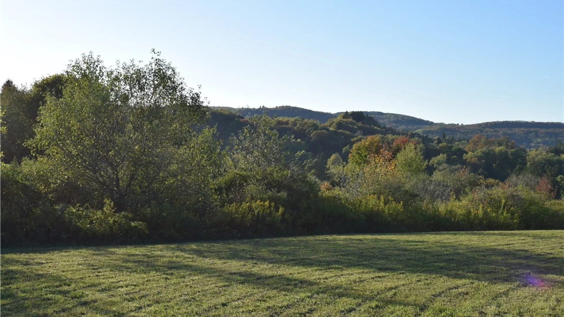 Property at 9096 Route 240, Ashford, NY 14171 23