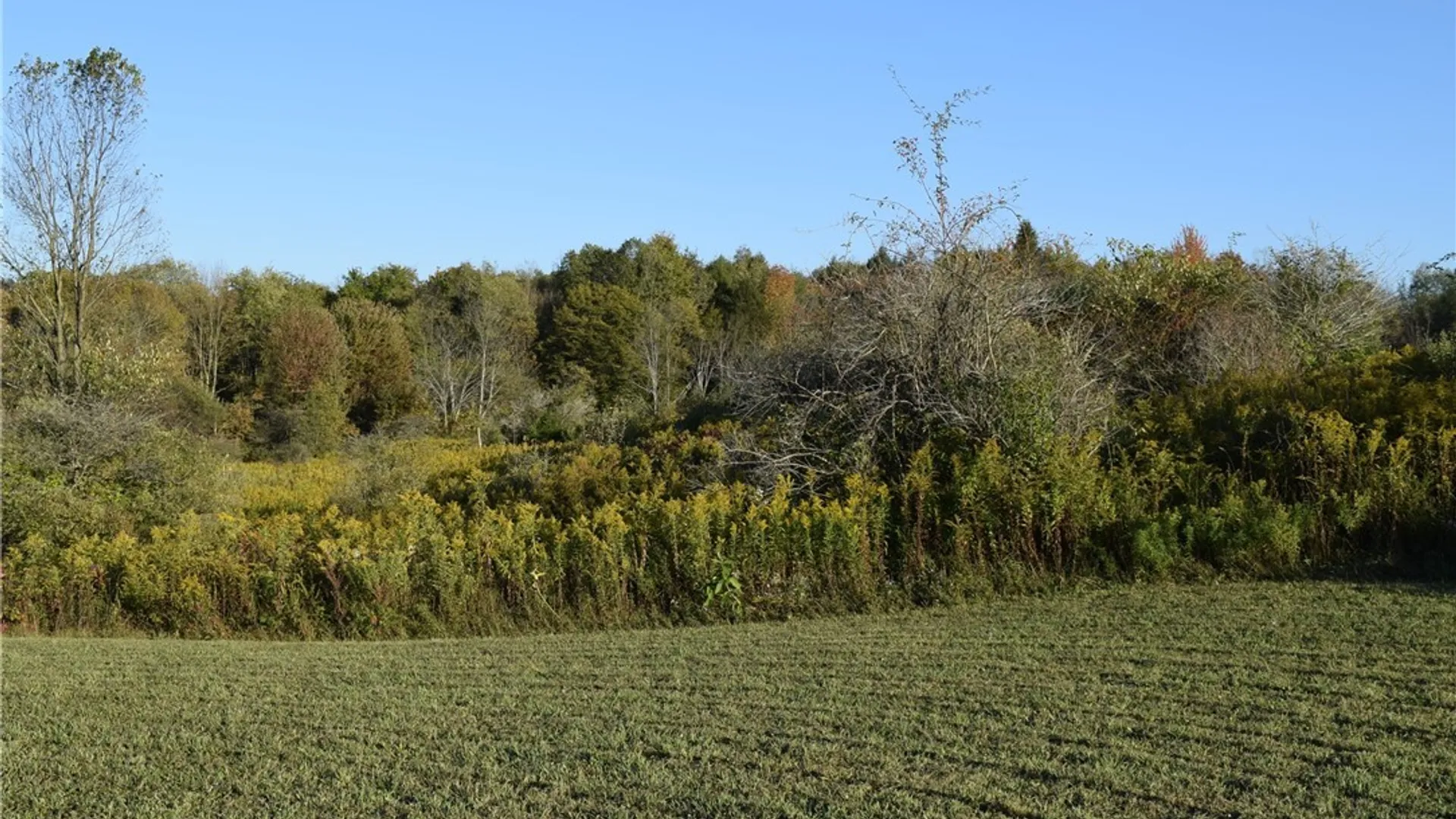 Property at 9096 Route 240, Ashford, NY 14171 25