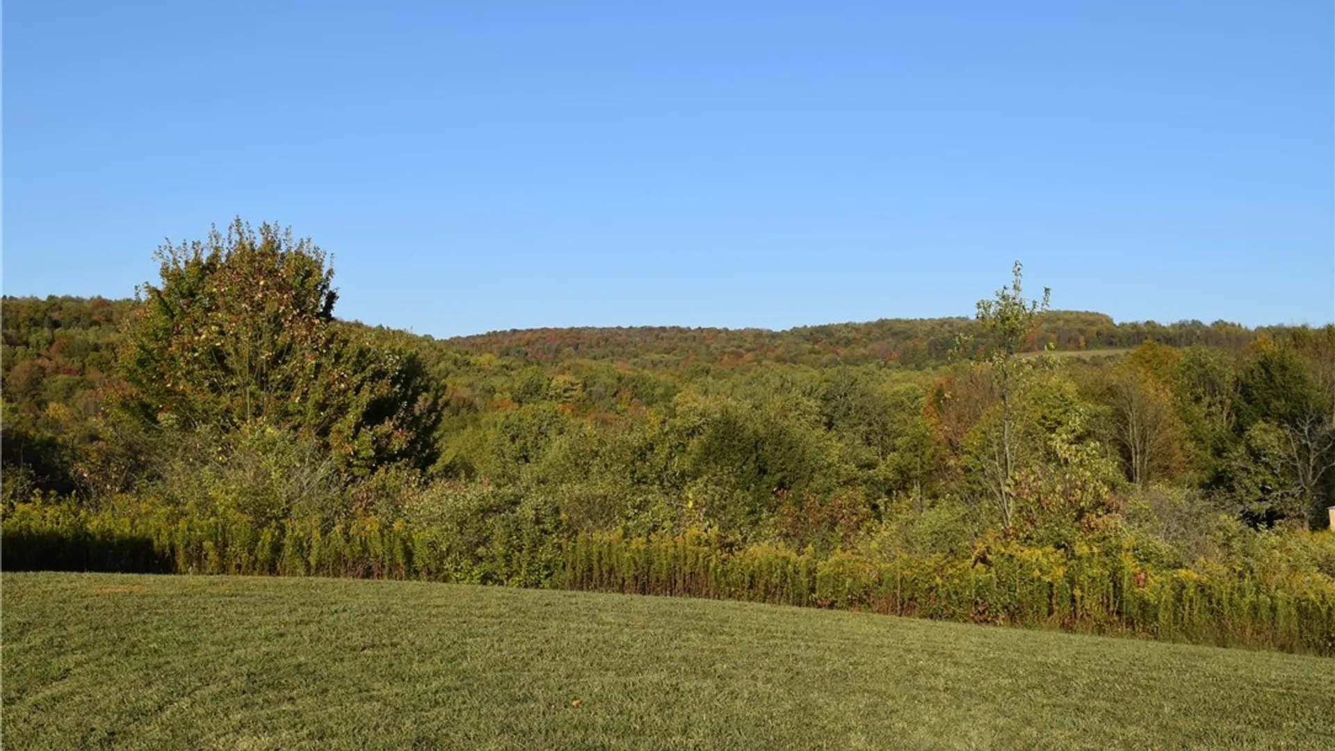 Property at 9096 Route 240, Ashford, NY 14171 26