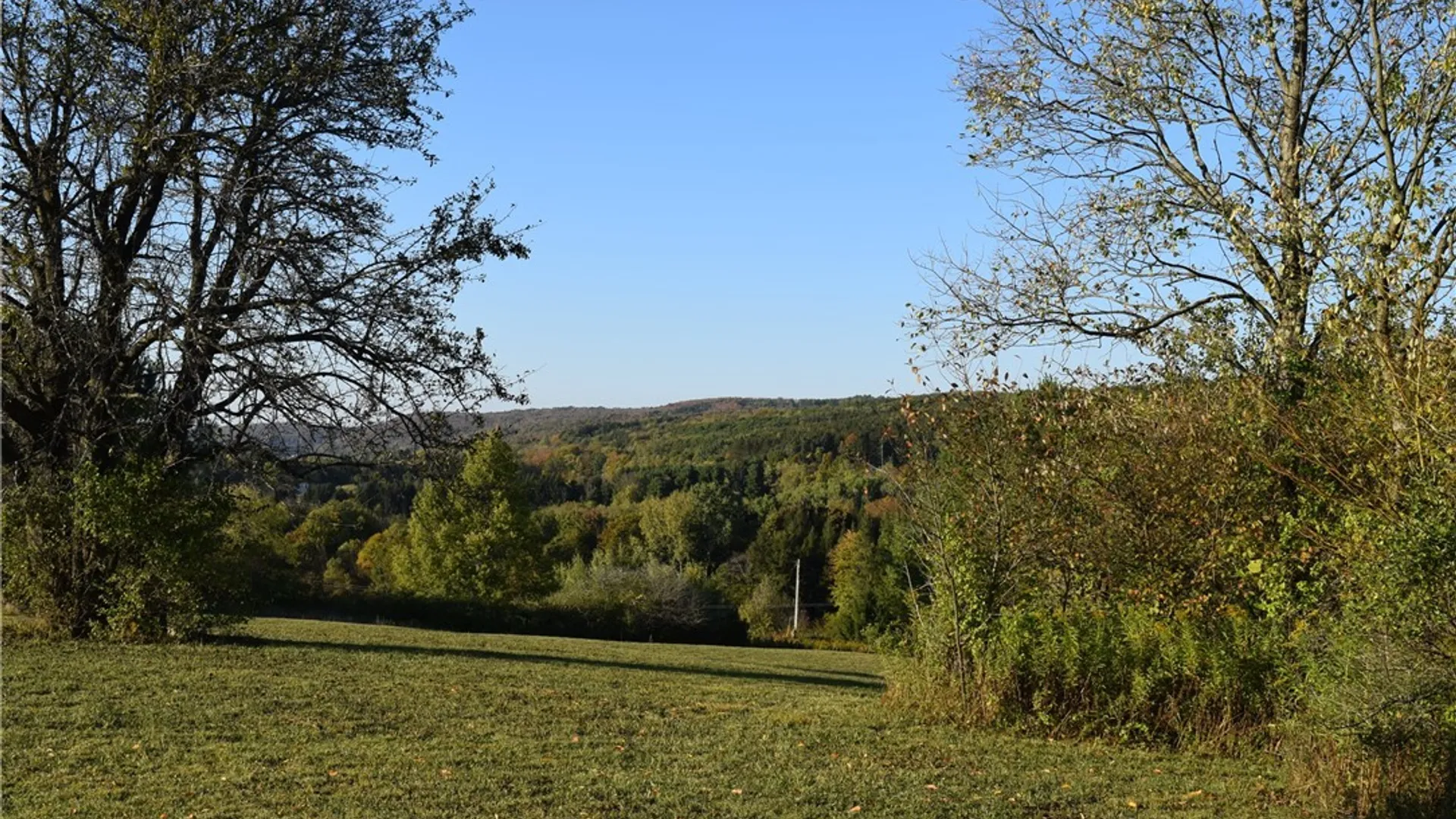 Property at 9096 Route 240, Ashford, NY 14171 28