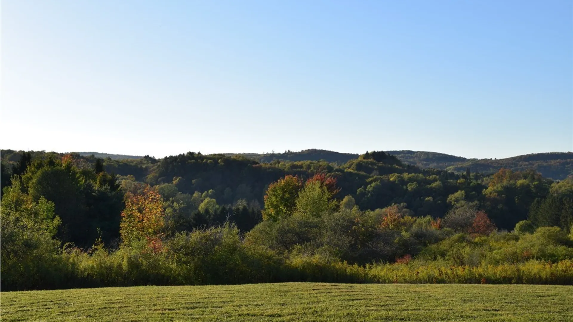 Property at 9096 Route 240, Ashford, NY 14171 30