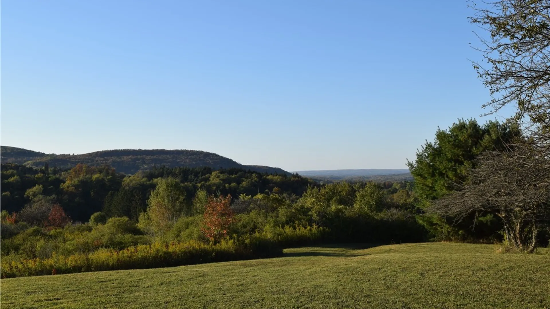 Property at 9096 Route 240, Ashford, NY 14171 31