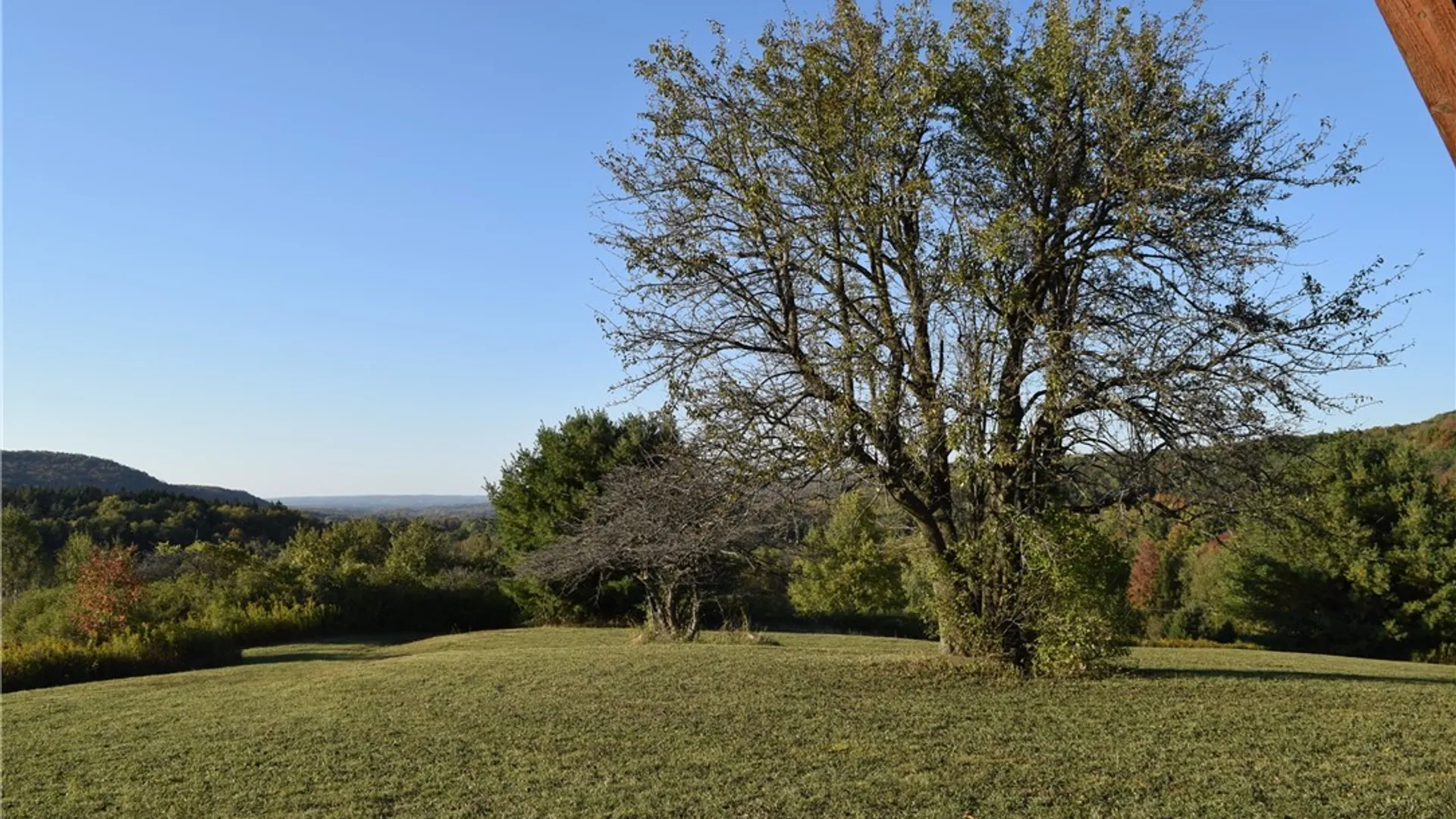 Property at 9096 Route 240, Ashford, NY 14171 32