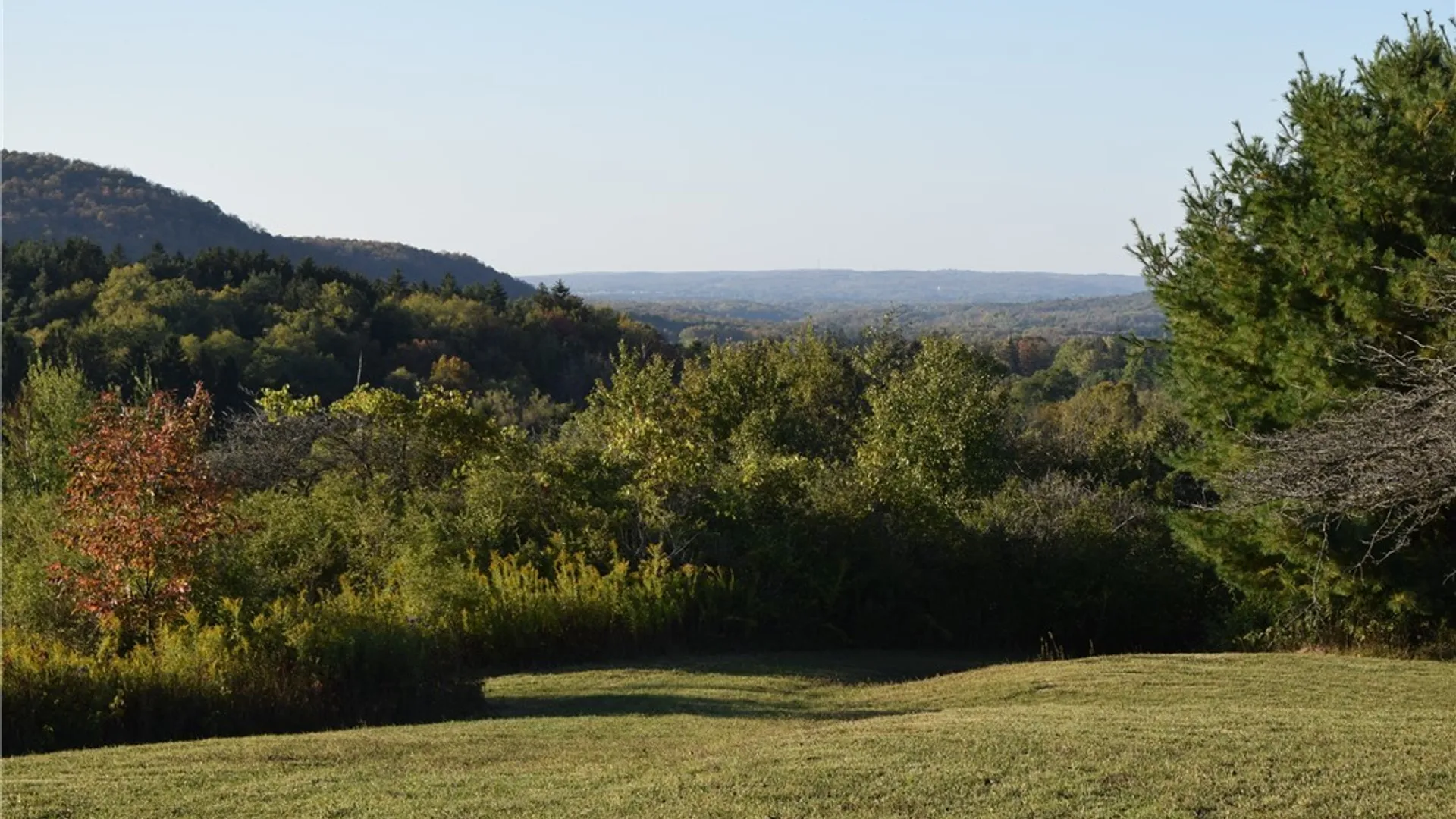 Property at 9096 Route 240, Ashford, NY 14171 34