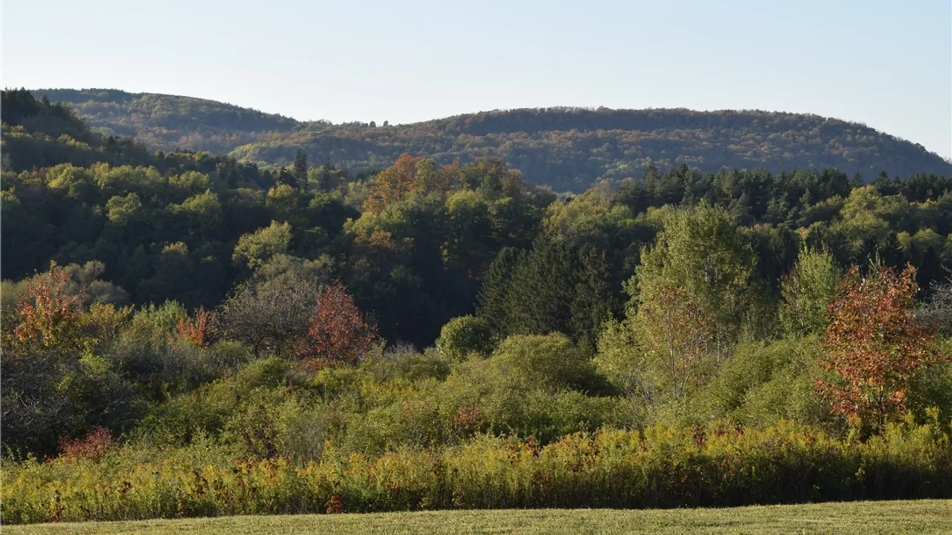 Property at 9096 Route 240, Ashford, NY 14171 35