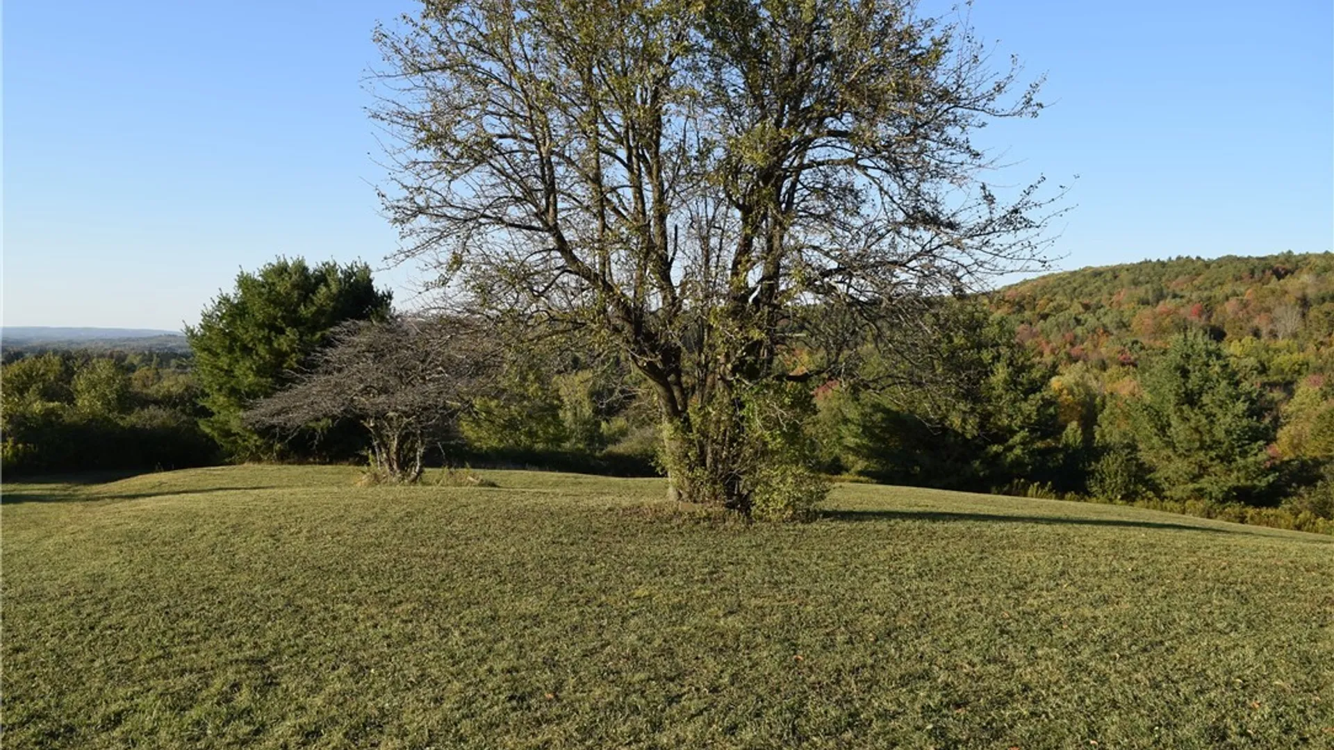 Property at 9096 Route 240, Ashford, NY 14171 36