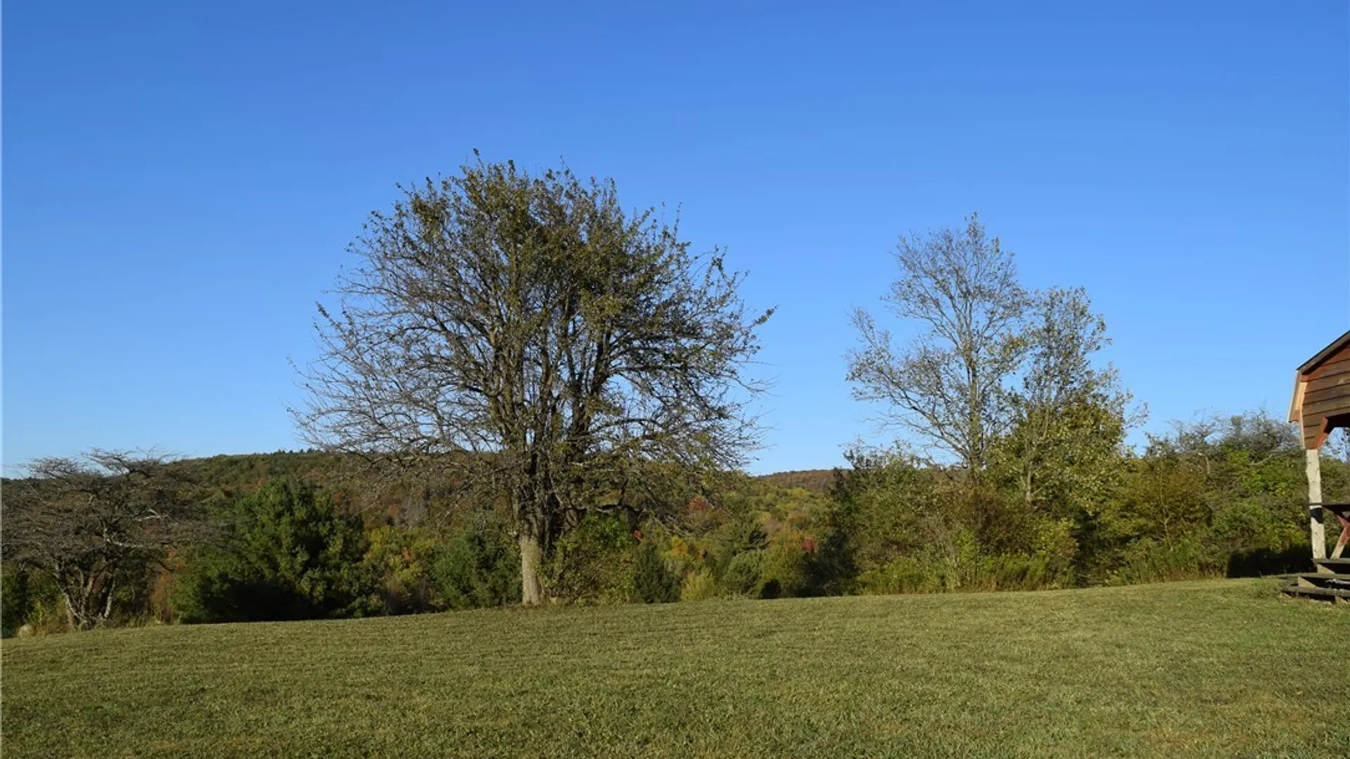 Property at 9096 Route 240, Ashford, NY 14171 38