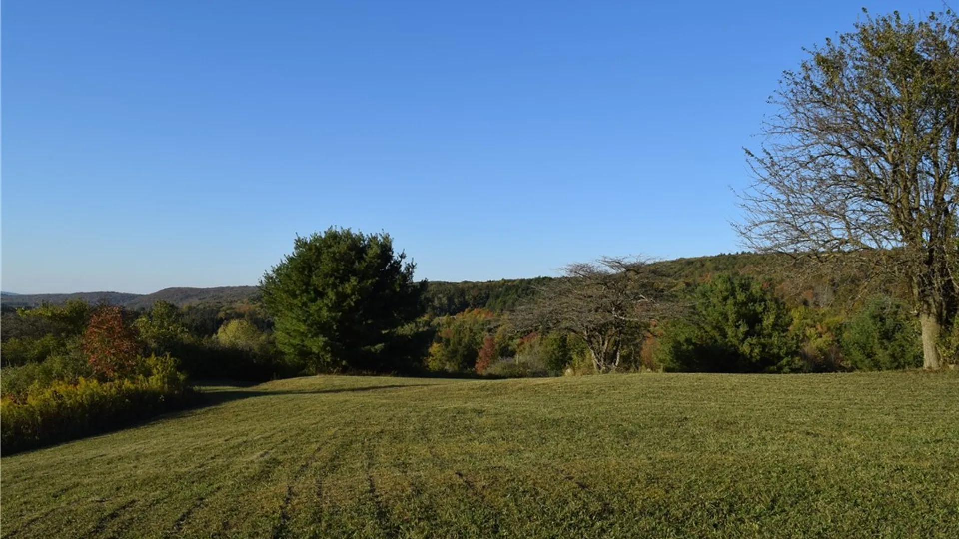 Property at 9096 Route 240, Ashford, NY 14171 39