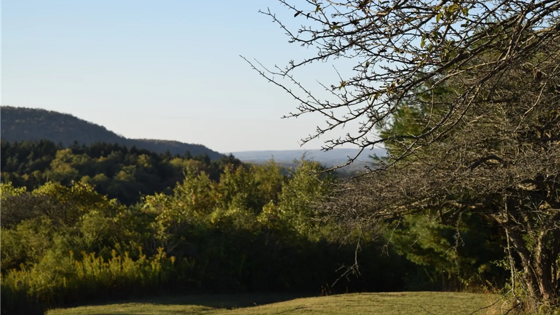 Property at 9096 Route 240, Ashford, NY 14171 4