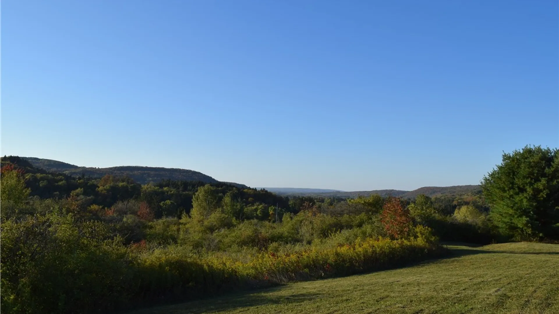 Property at 9096 Route 240, Ashford, NY 14171 40