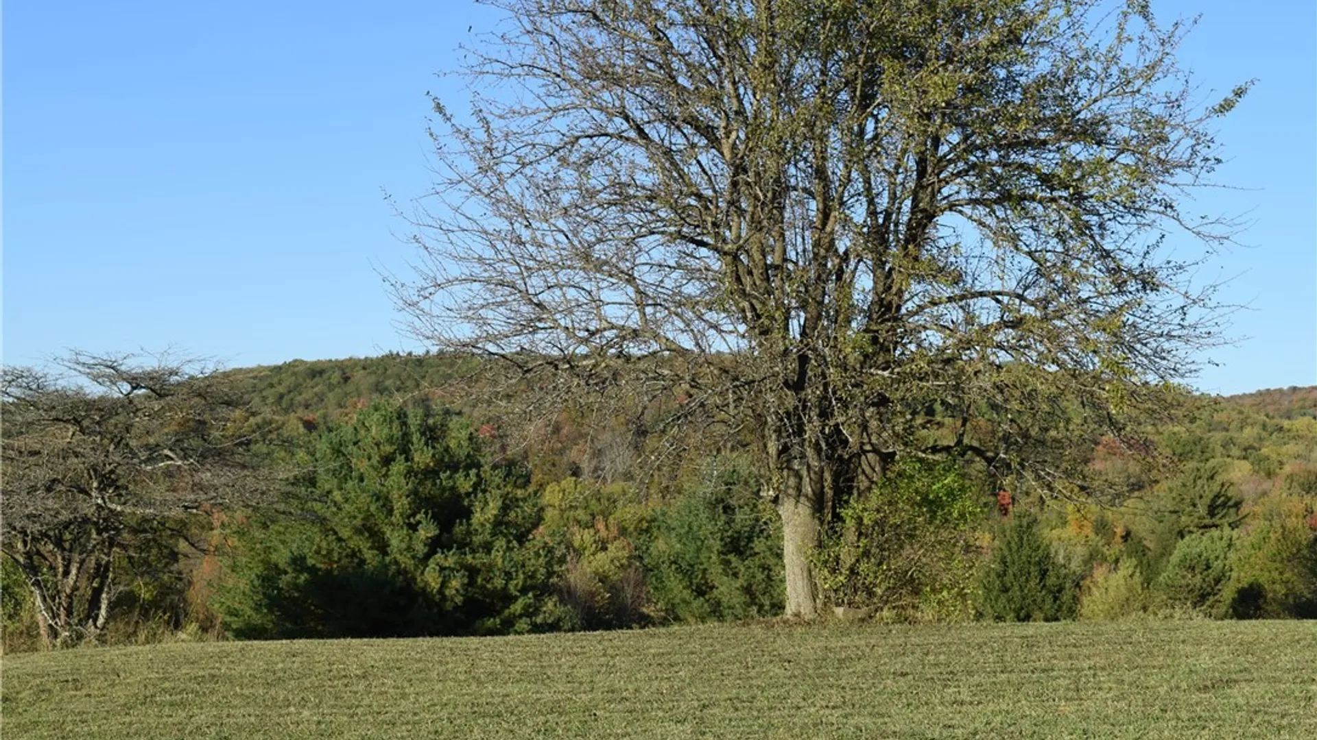 Property at 9096 Route 240, Ashford, NY 14171 43