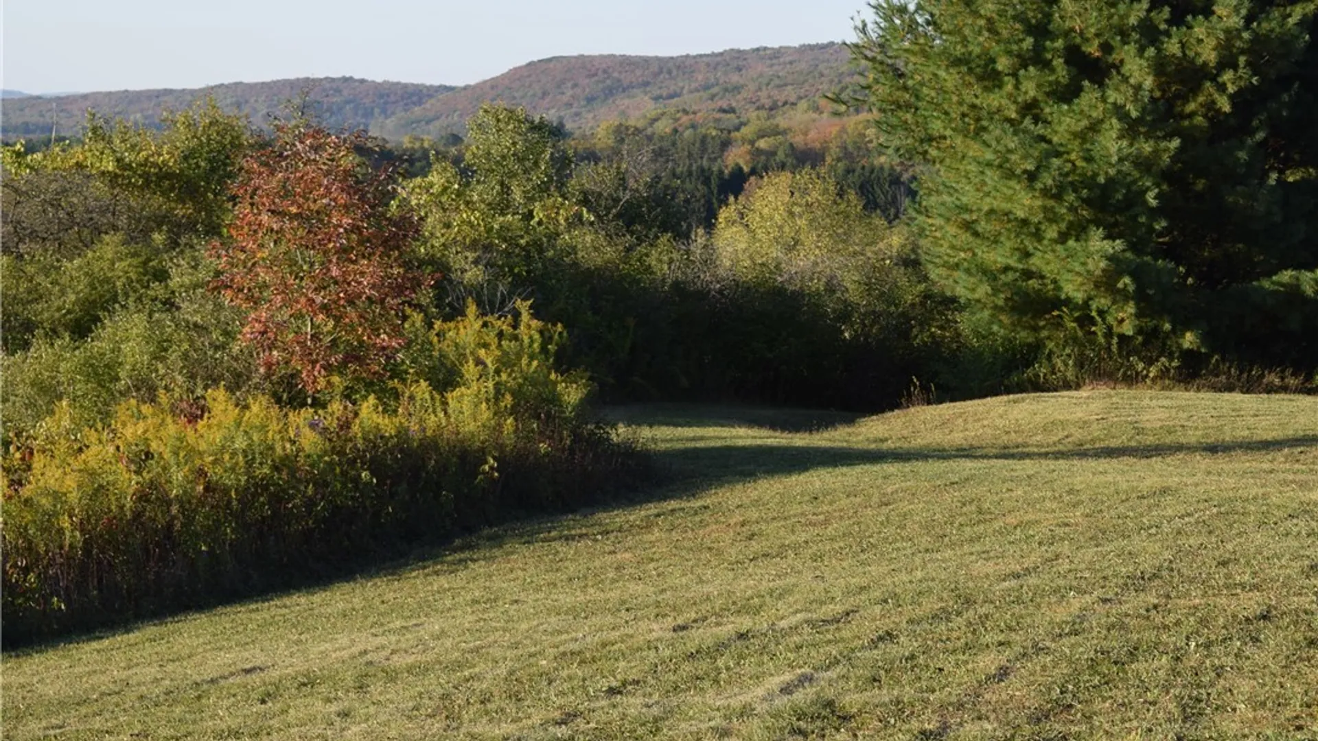 Property at 9096 Route 240, Ashford, NY 14171 44