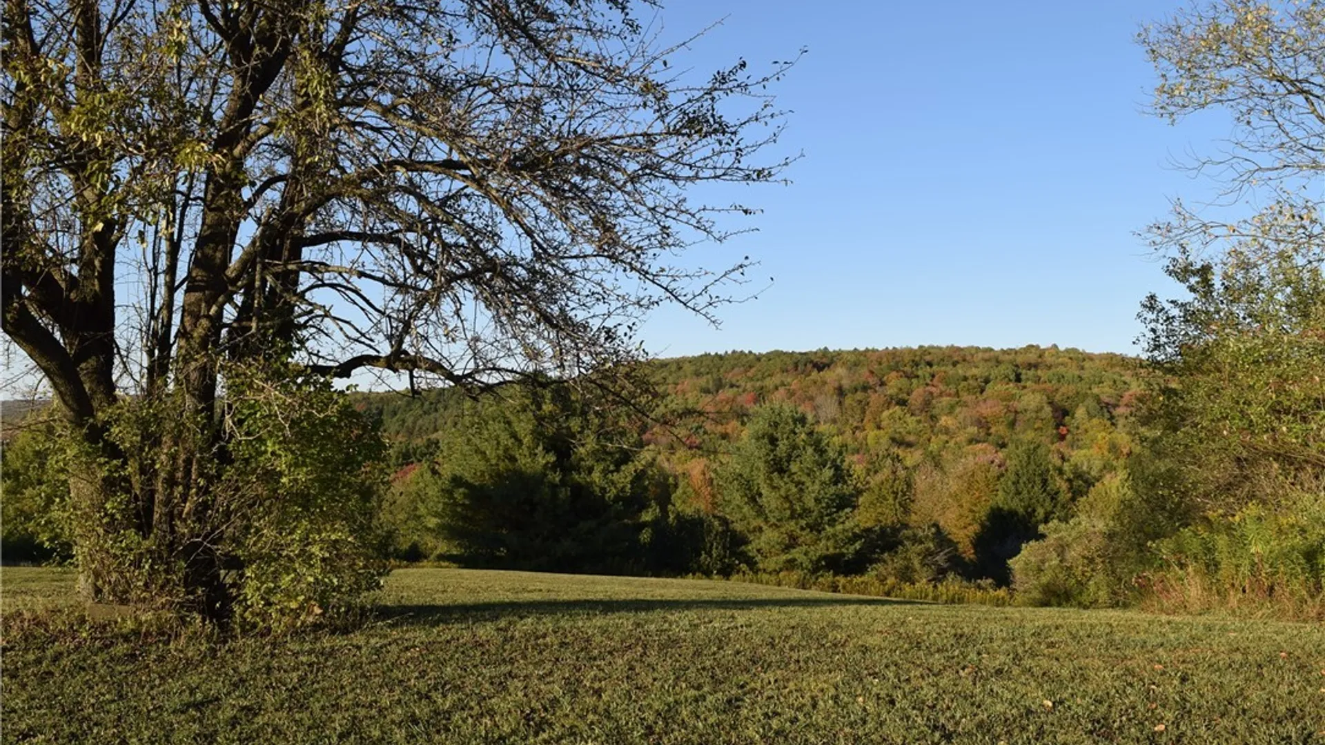 Property at 9096 Route 240, Ashford, NY 14171 45