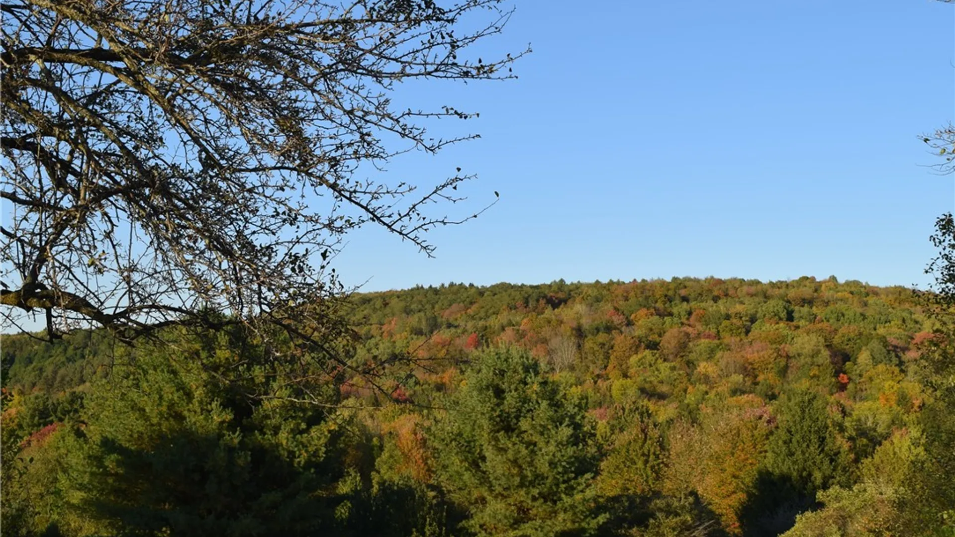 Property at 9096 Route 240, Ashford, NY 14171 47