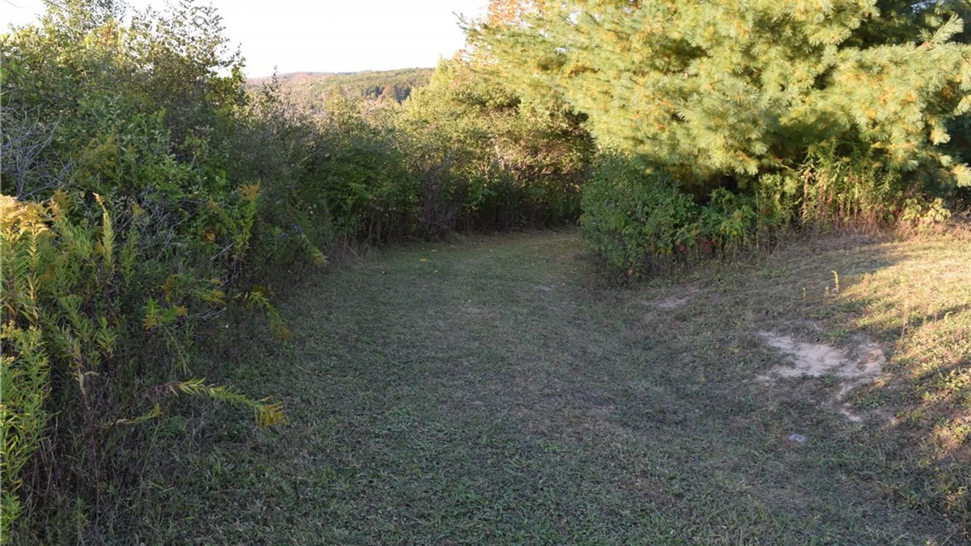 Property at 9096 Route 240, Ashford, NY 14171 48