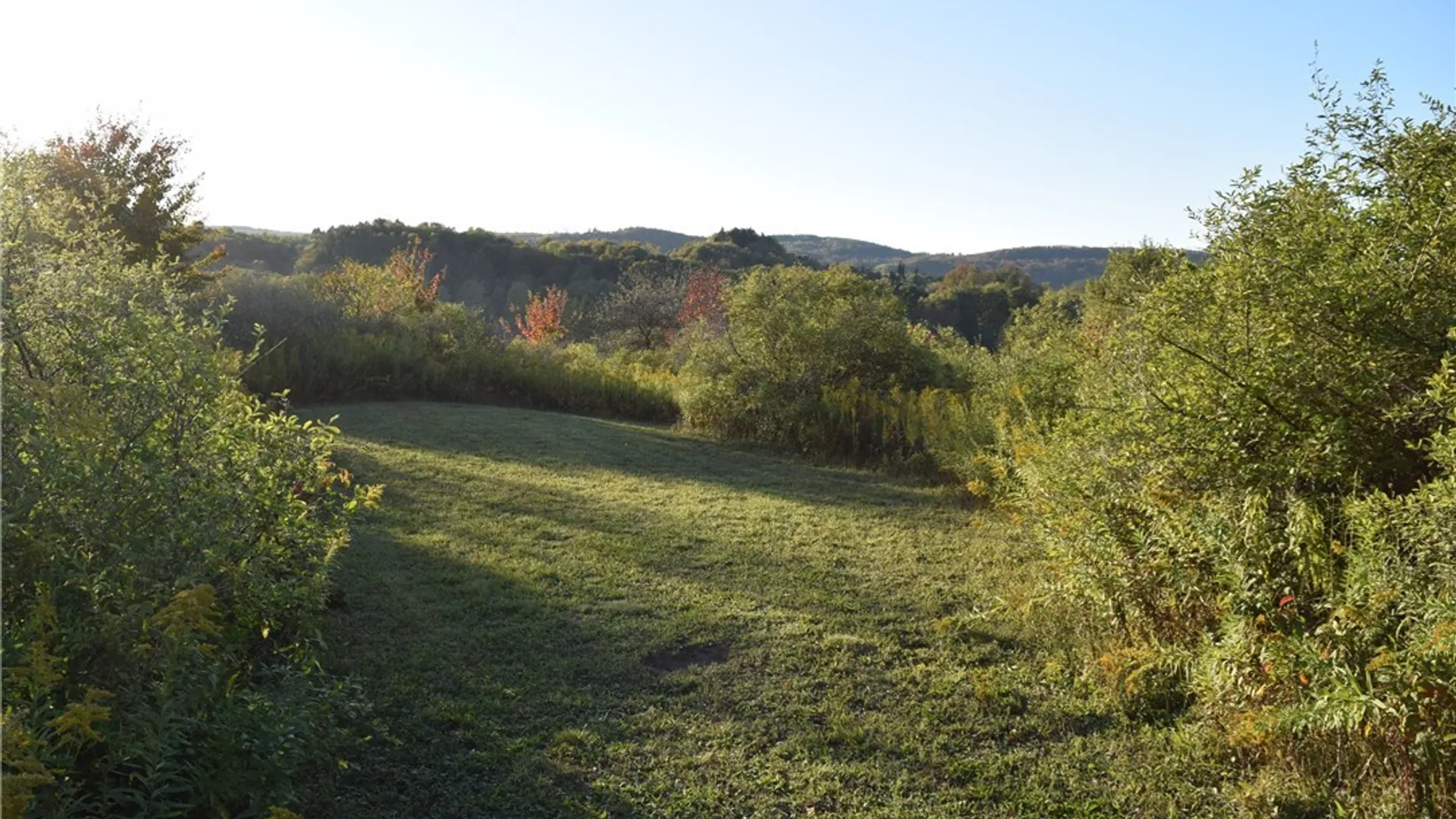 Property at 9096 Route 240, Ashford, NY 14171 49